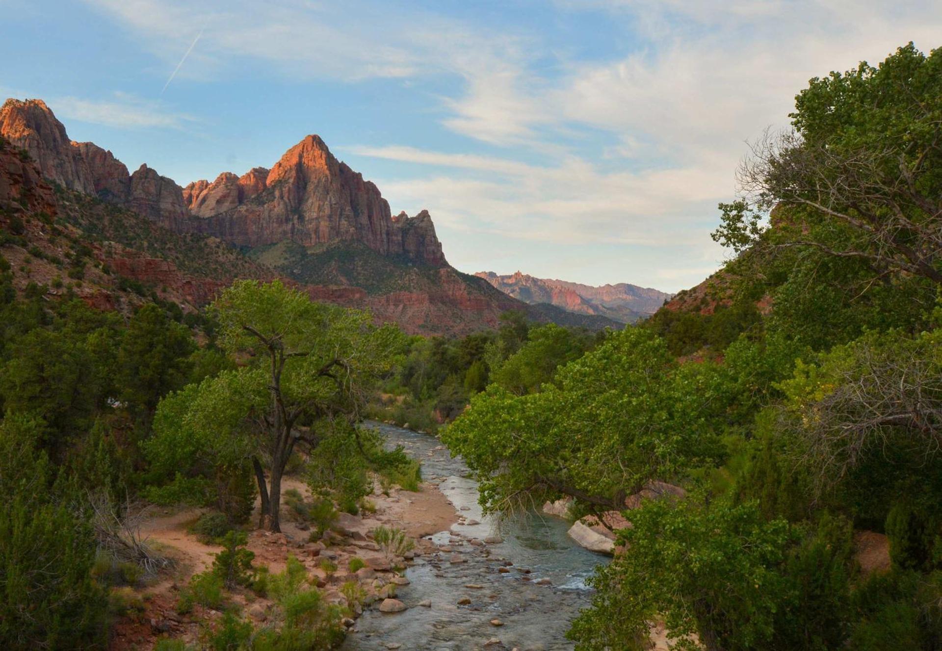 Yurt Overlook #8 with AC and Private Bath King Suite