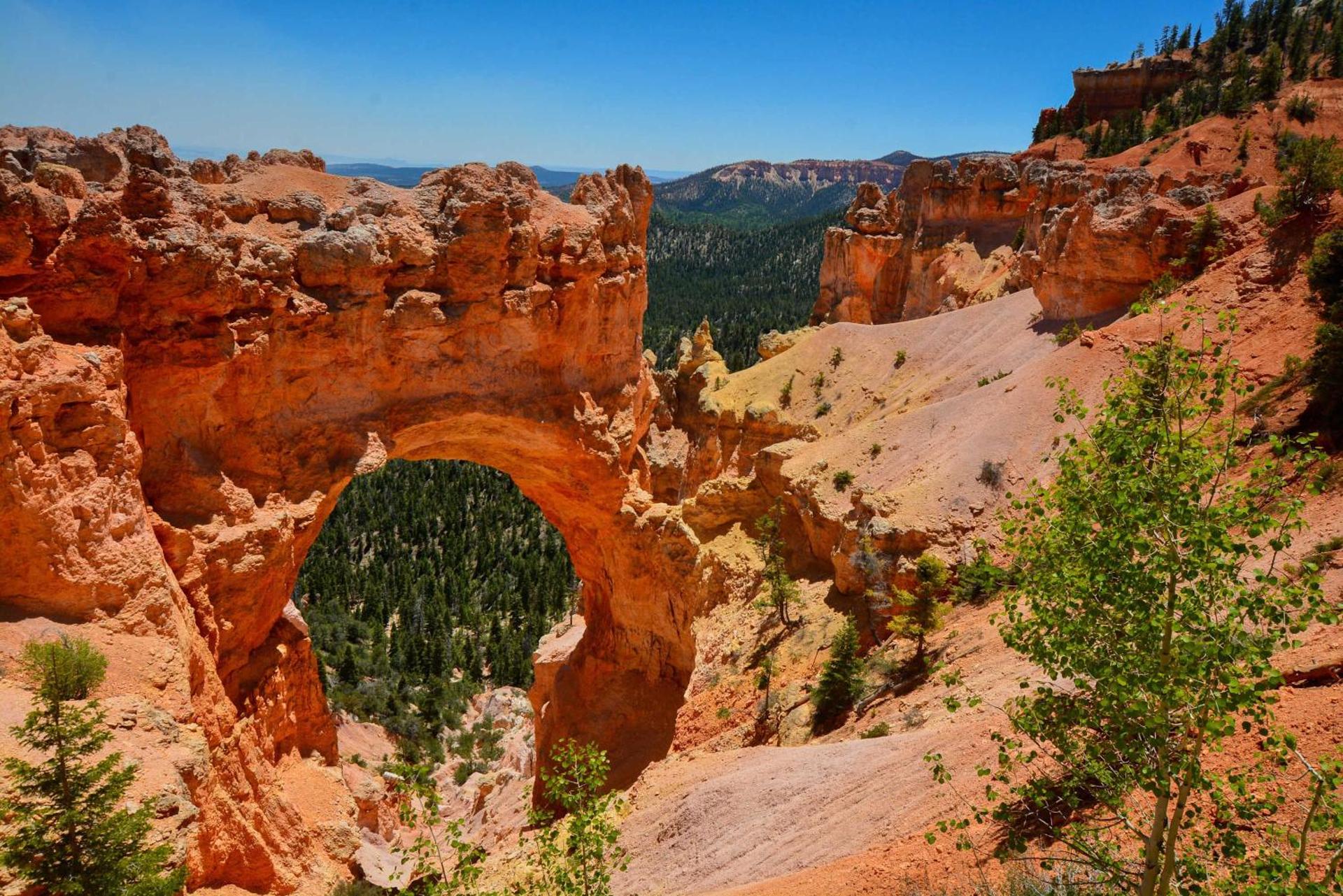 Yurt Overlook #7 with AC and Private Bath 2 Kings