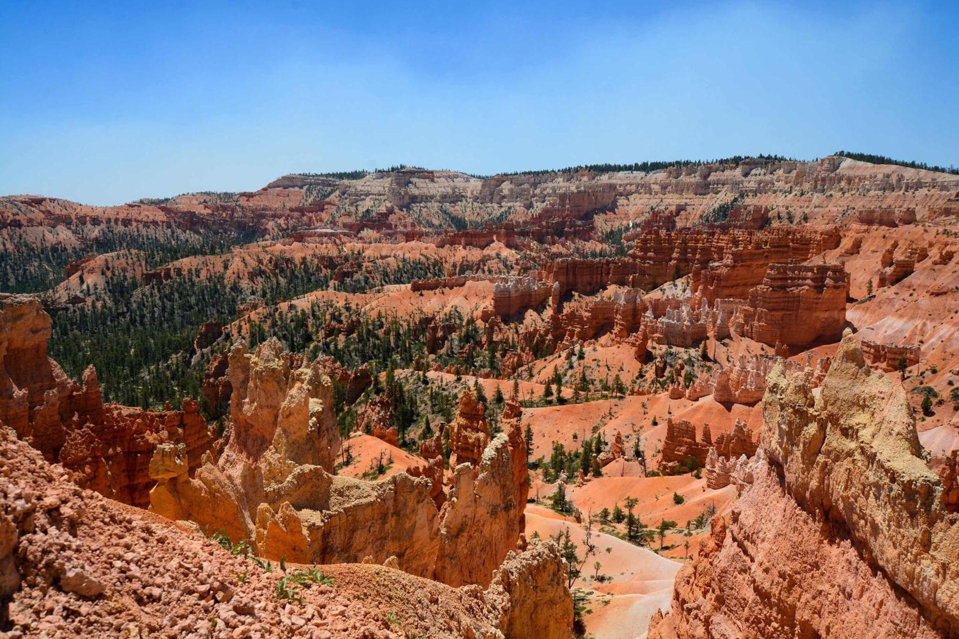 Yurt Overlook #7 with AC and Private Bath 2 Kings