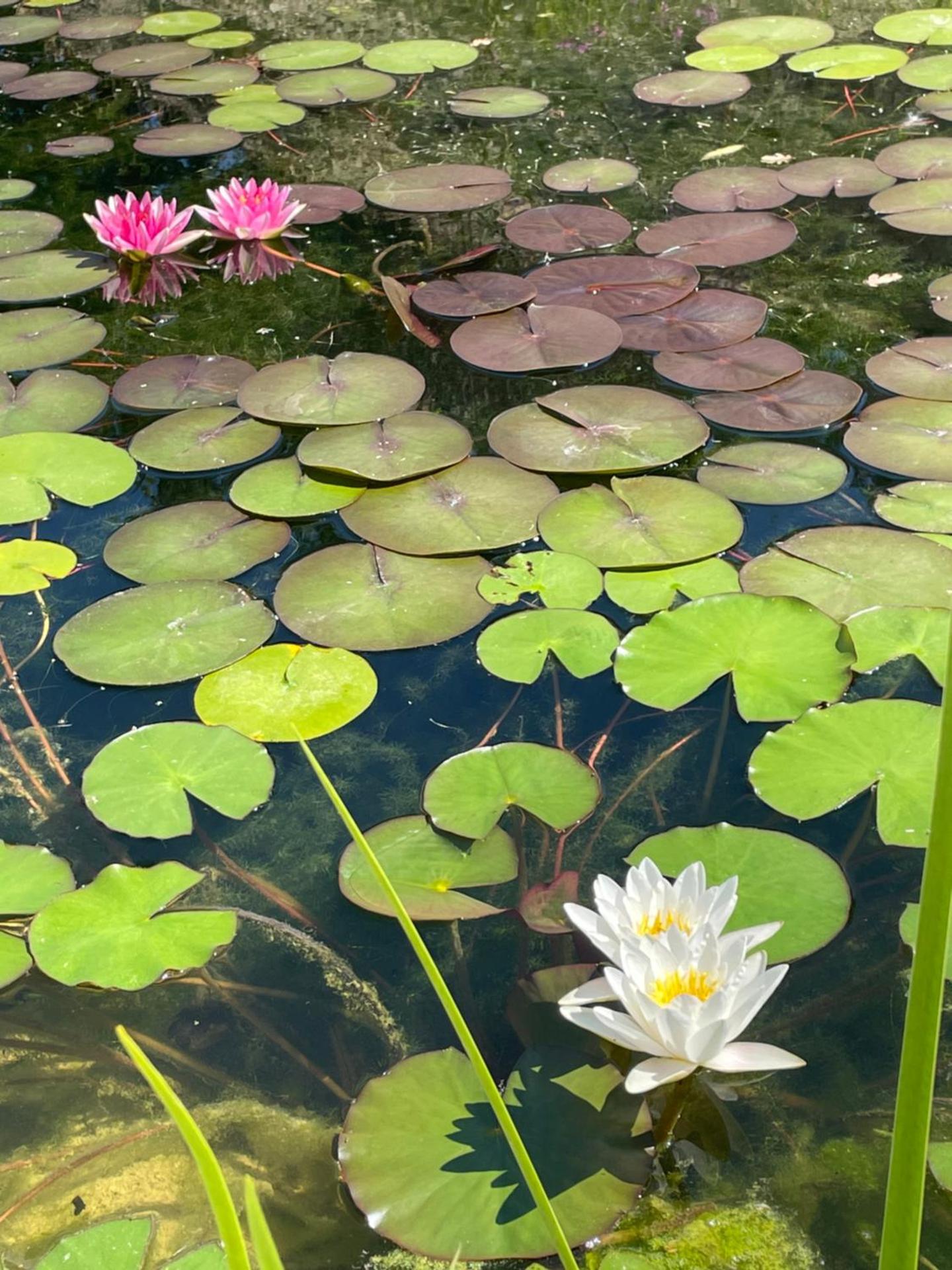 La casa di Alice - Casa Natura