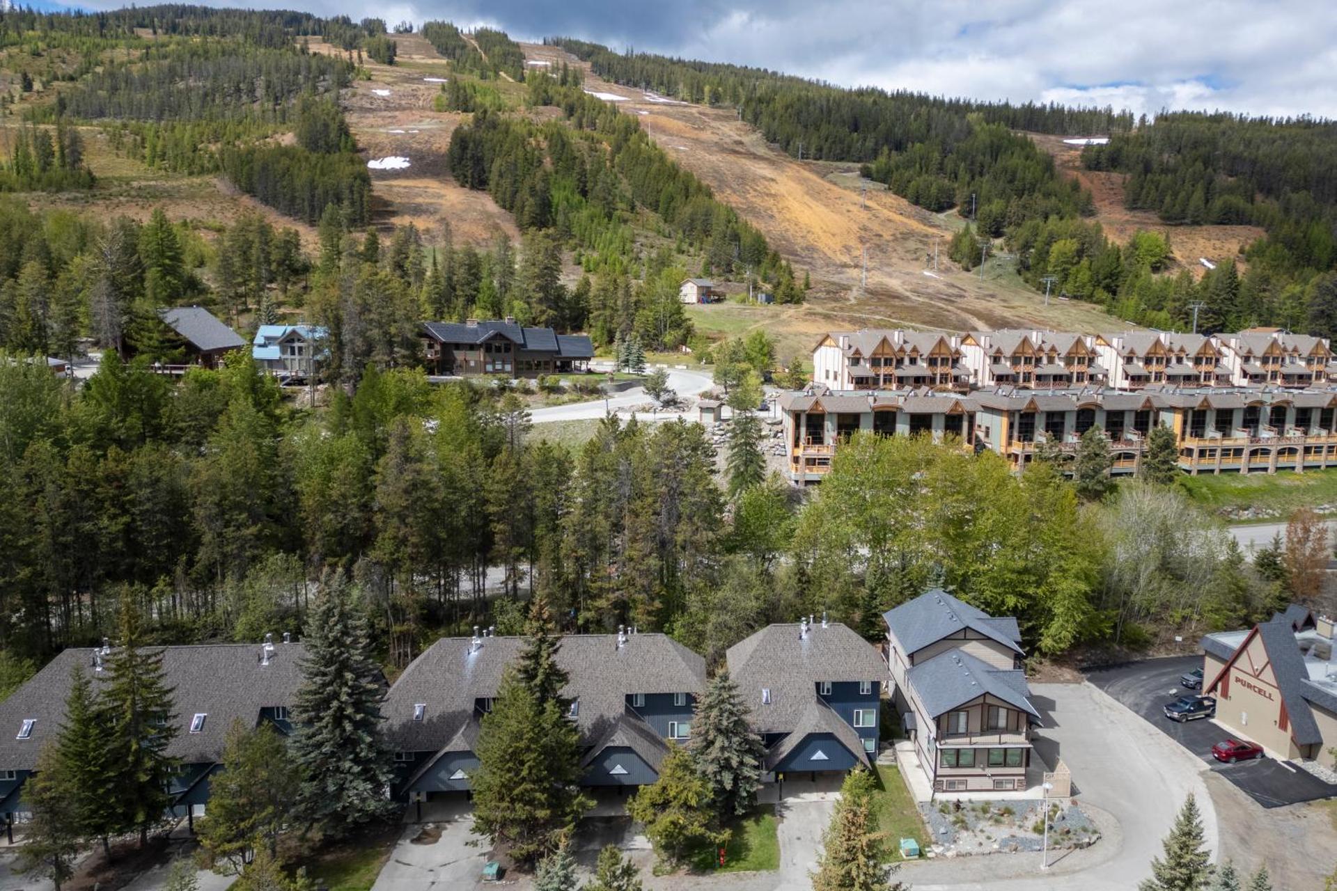 Silver Birch by StayIn