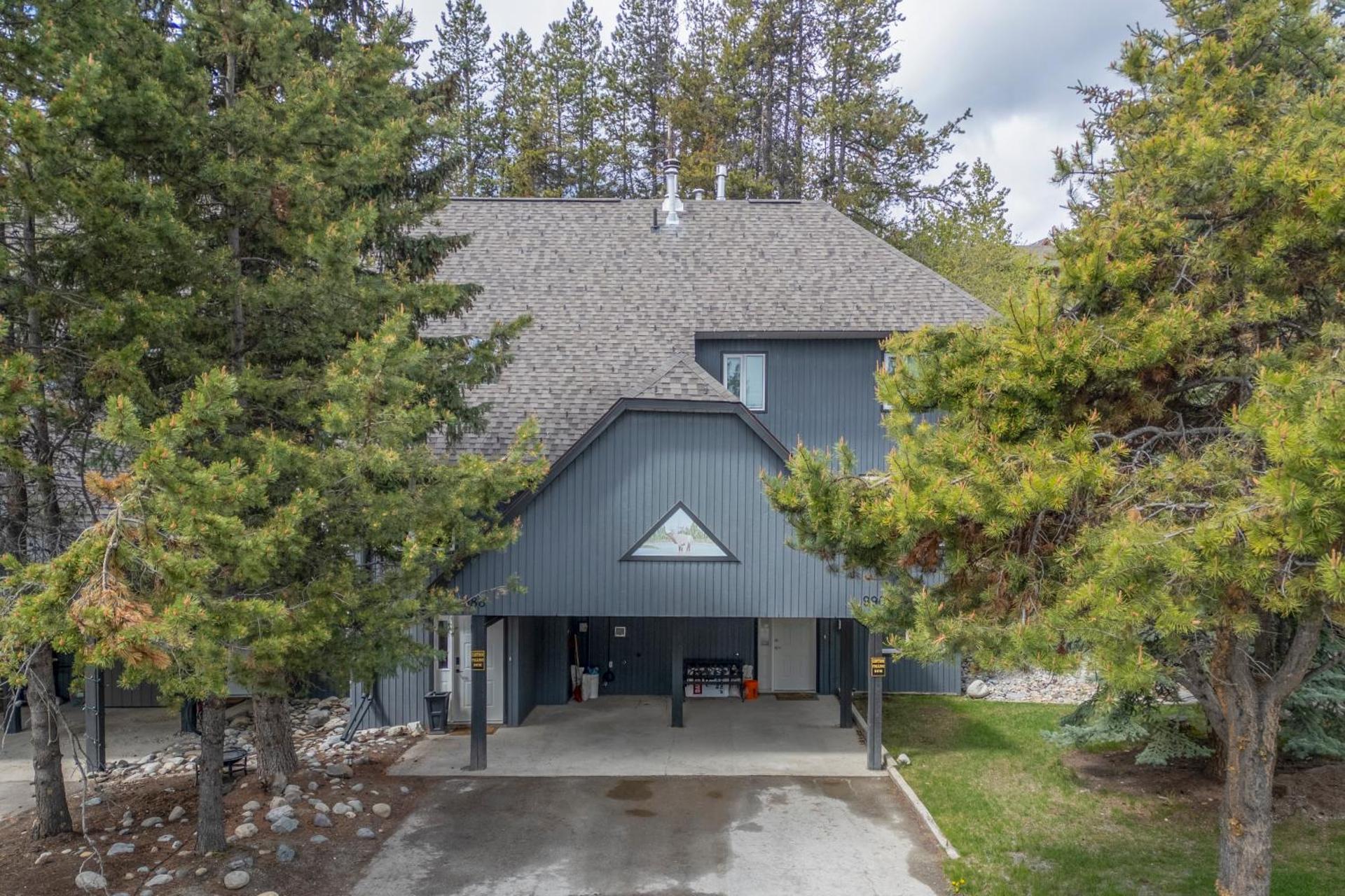 Silver Birch by StayIn