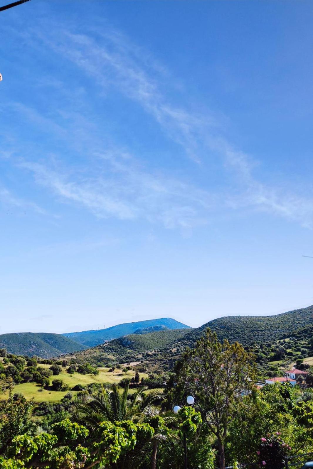 View (from property/room)