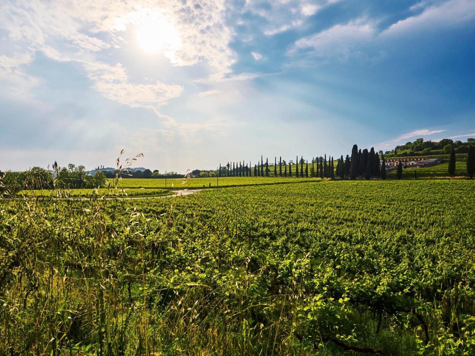 Casa Vittoria-Relax tra Lago di Garda e Verona