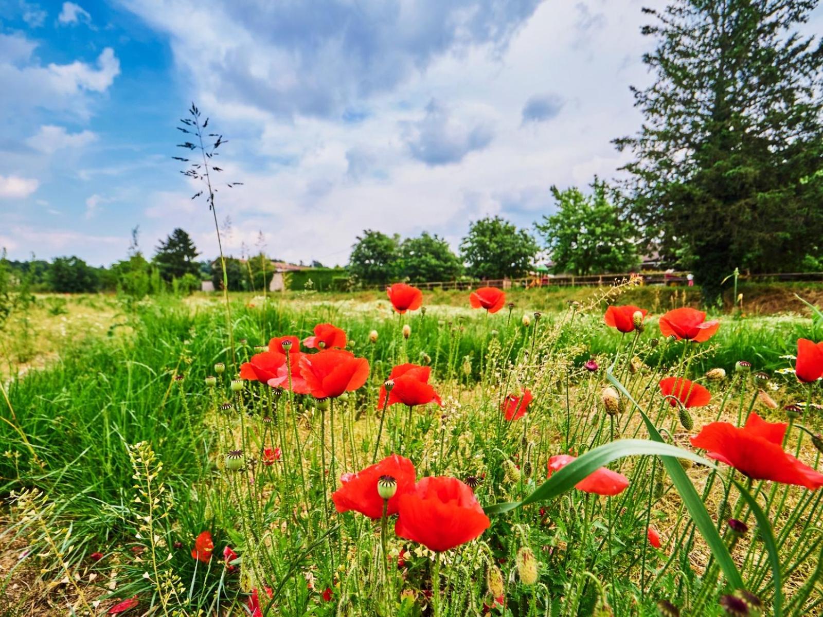 Casa Vittoria-Relax tra Lago di Garda e Verona