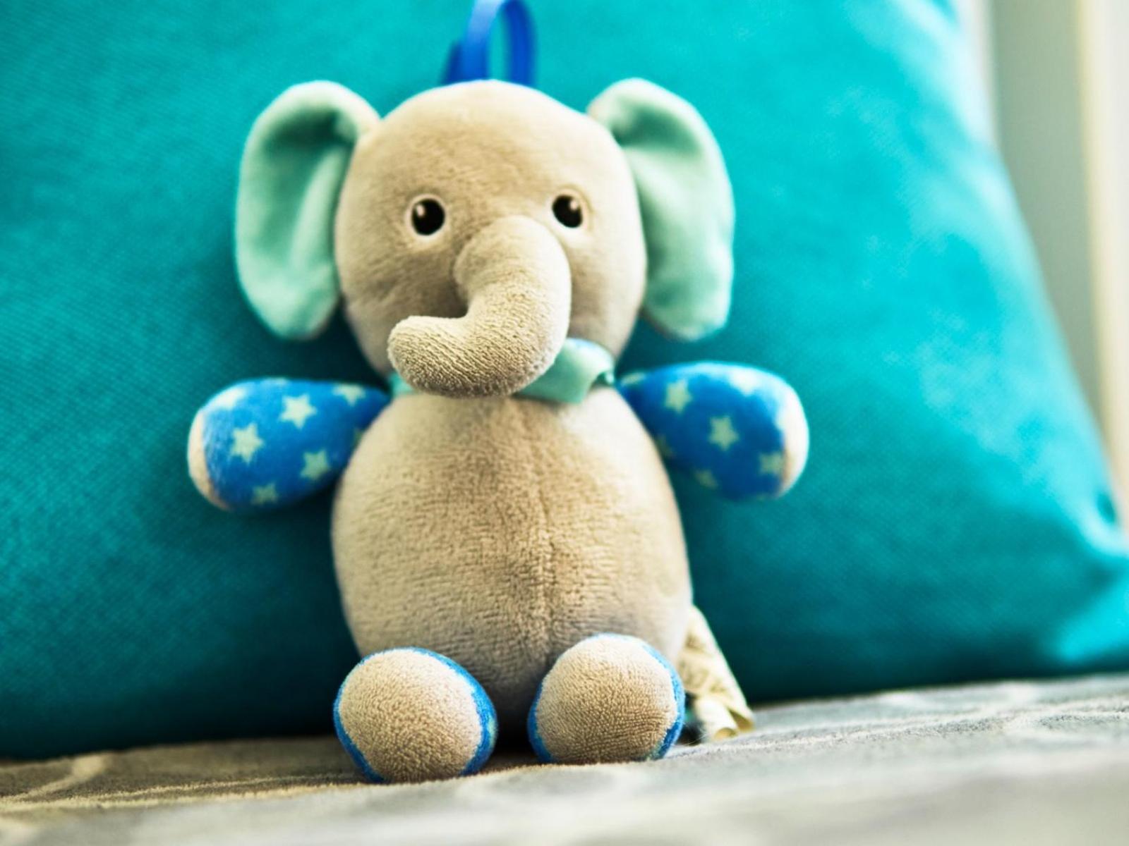 Casa Vittoria-Relax tra Lago di Garda e Verona