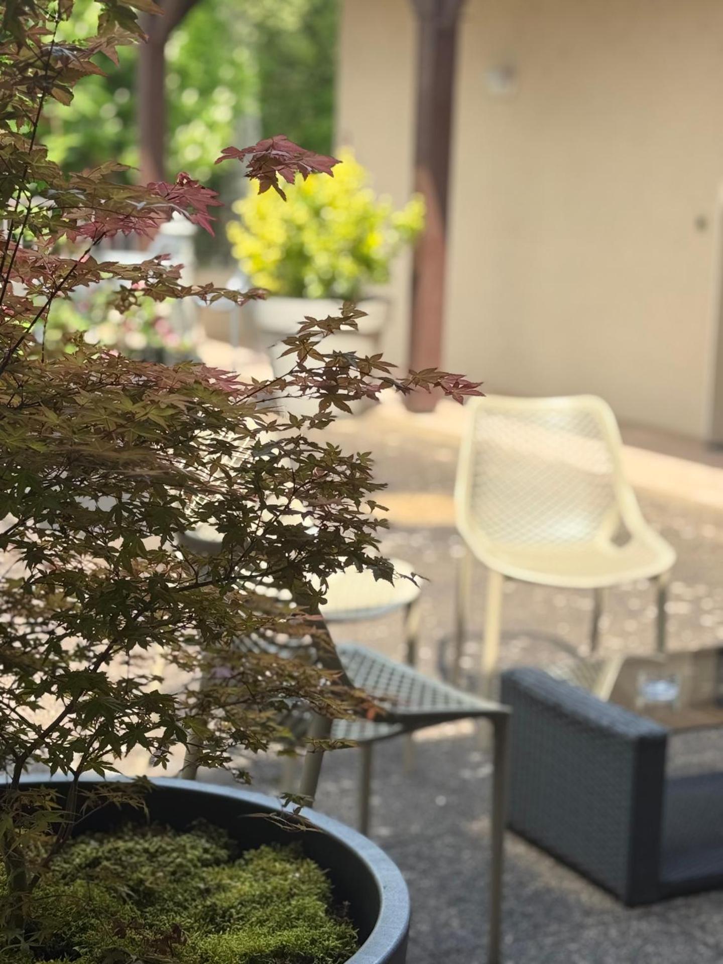 Le Victor Hugo - Hôtel et Restaurant - Logis Hôtels