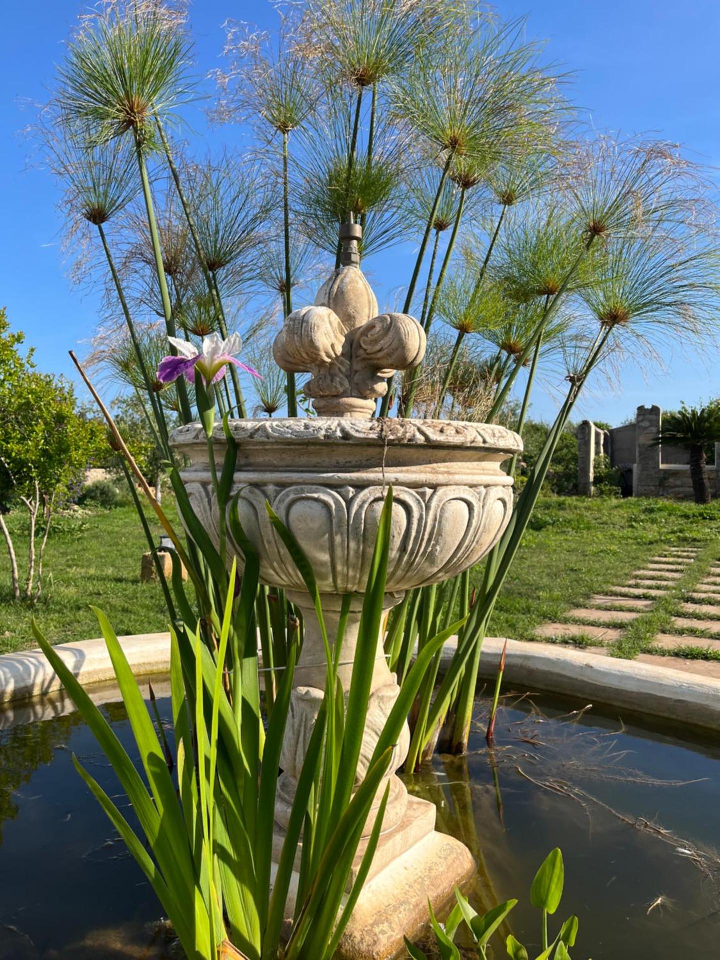 Mater Familias Oasis