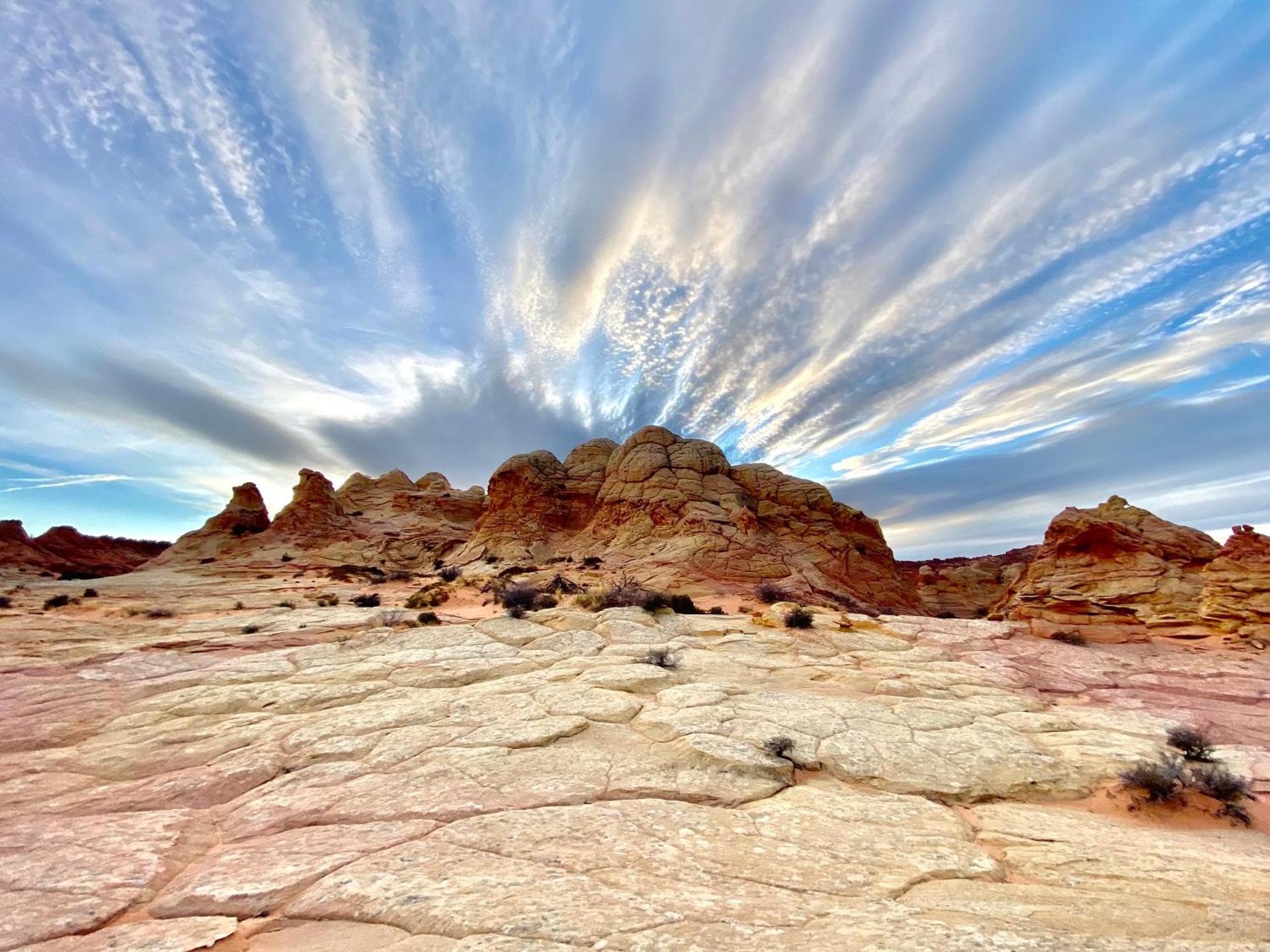 Oranch House, Studio & Wilderness