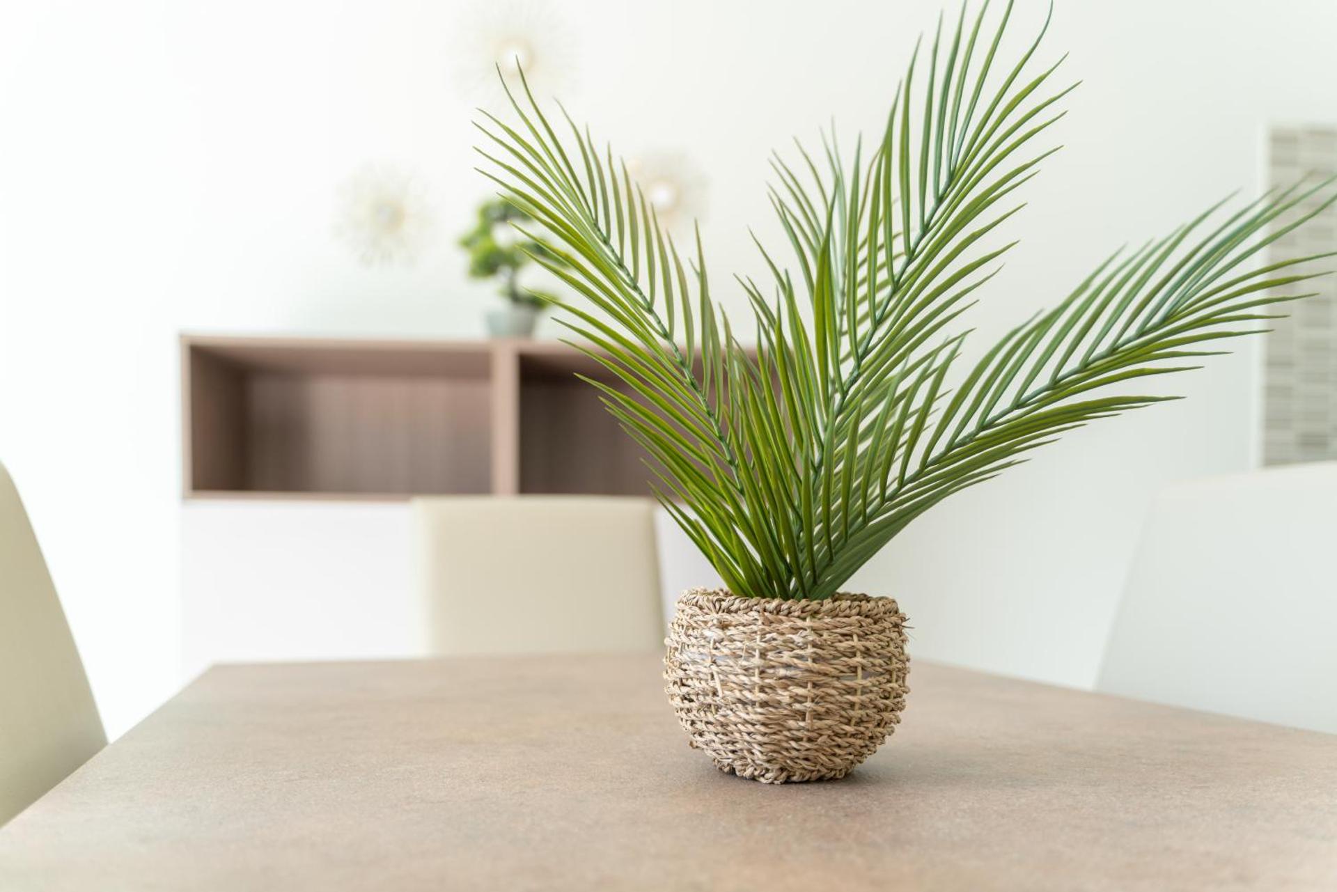 Milena Suite Apartments