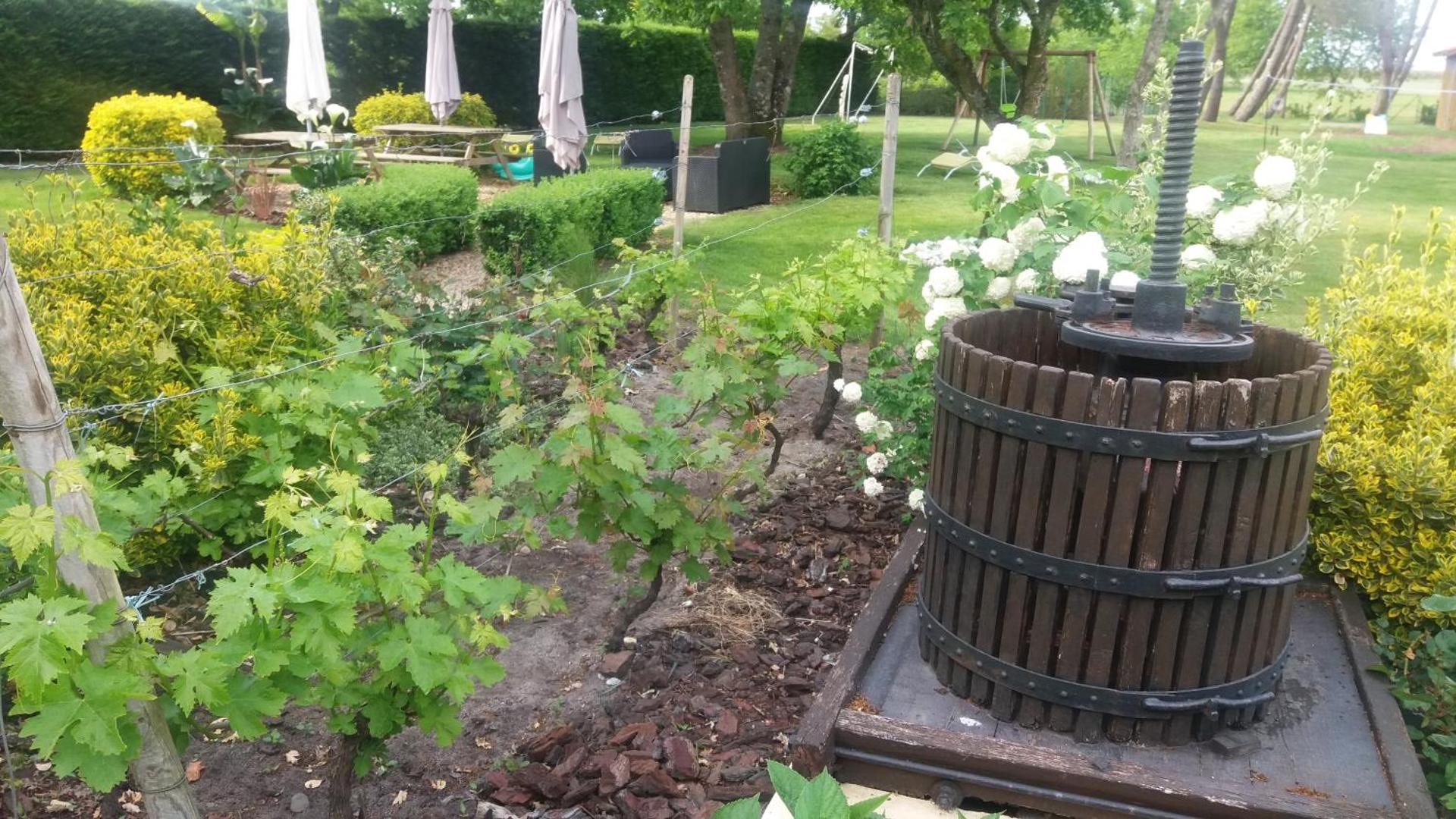 Children play ground