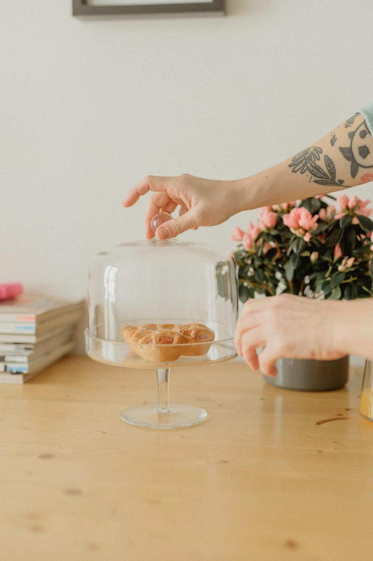 Hilltop Nest, Cozy Retreat on the Citadel Hill