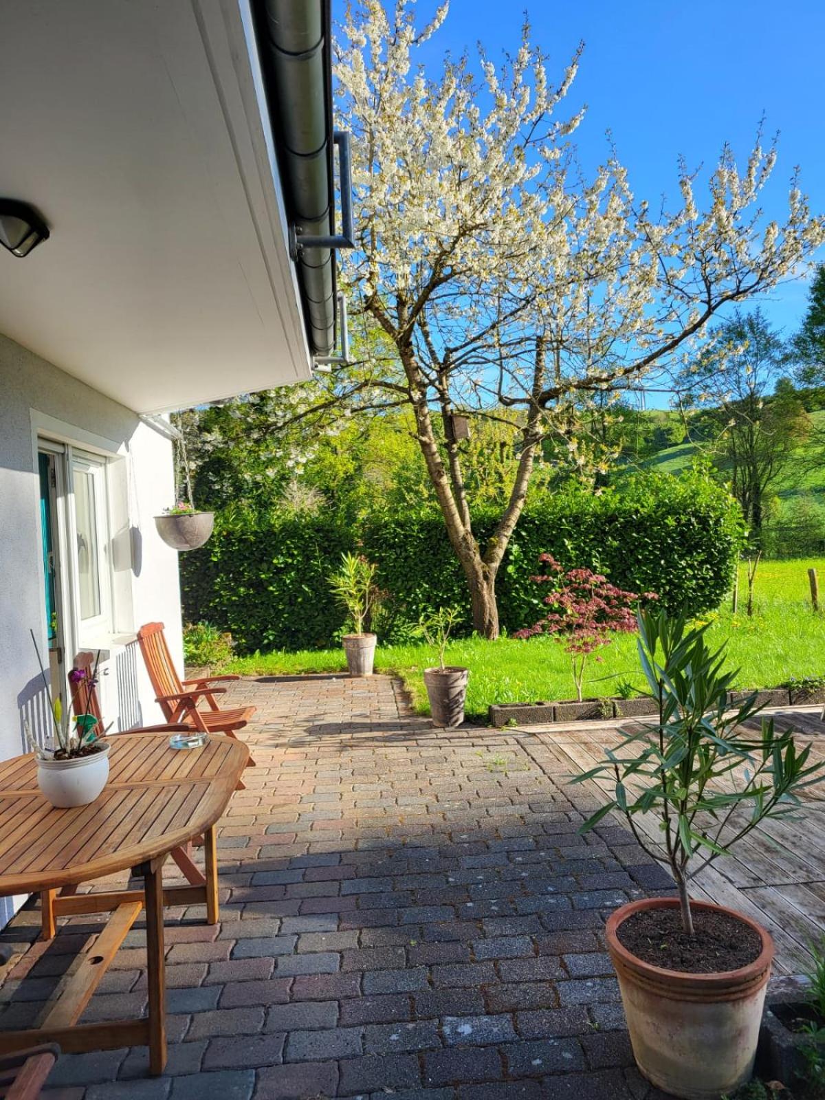 Ferienwohnung Kiefernwald