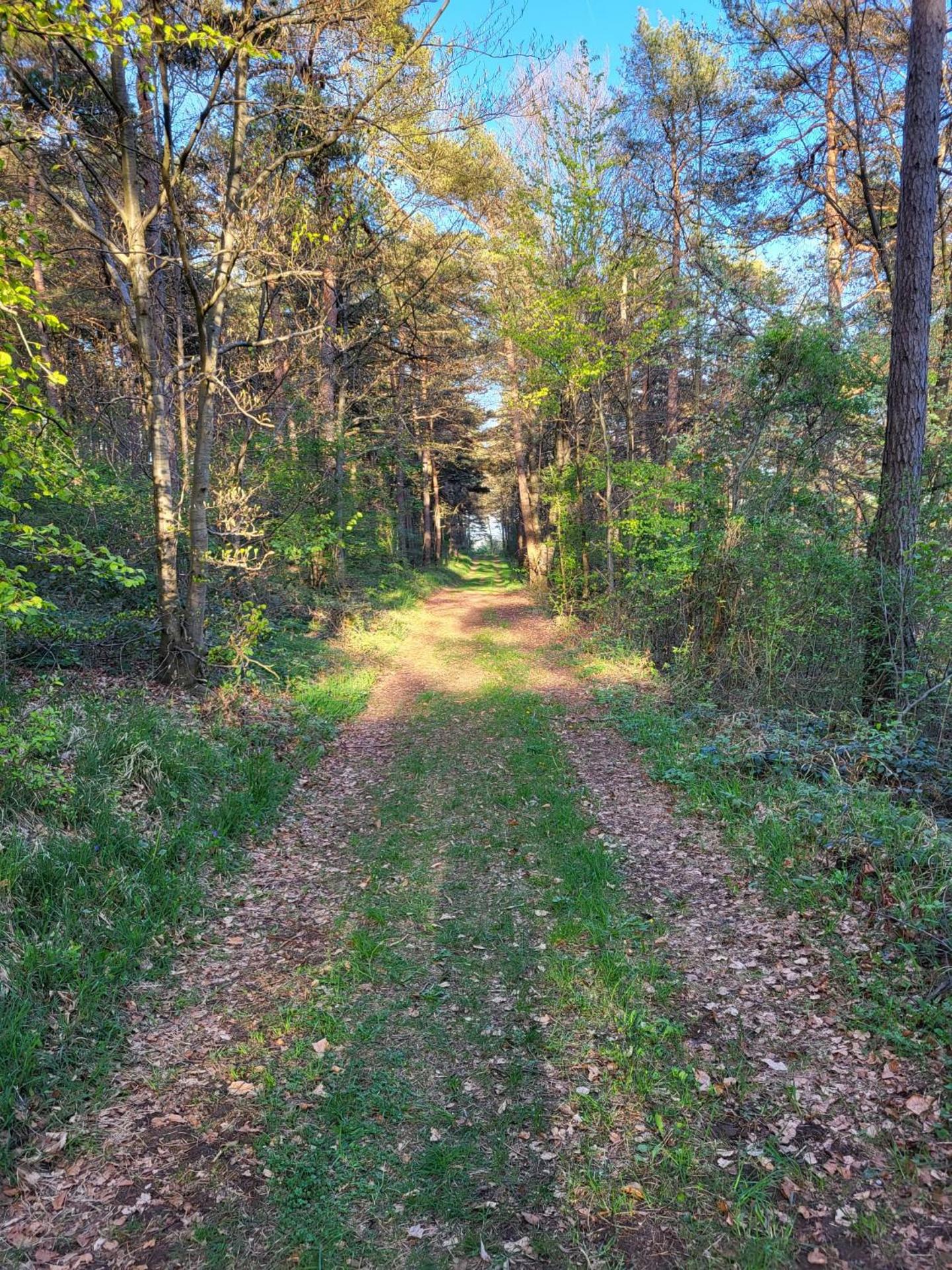 Ferienwohnung Kiefernwald