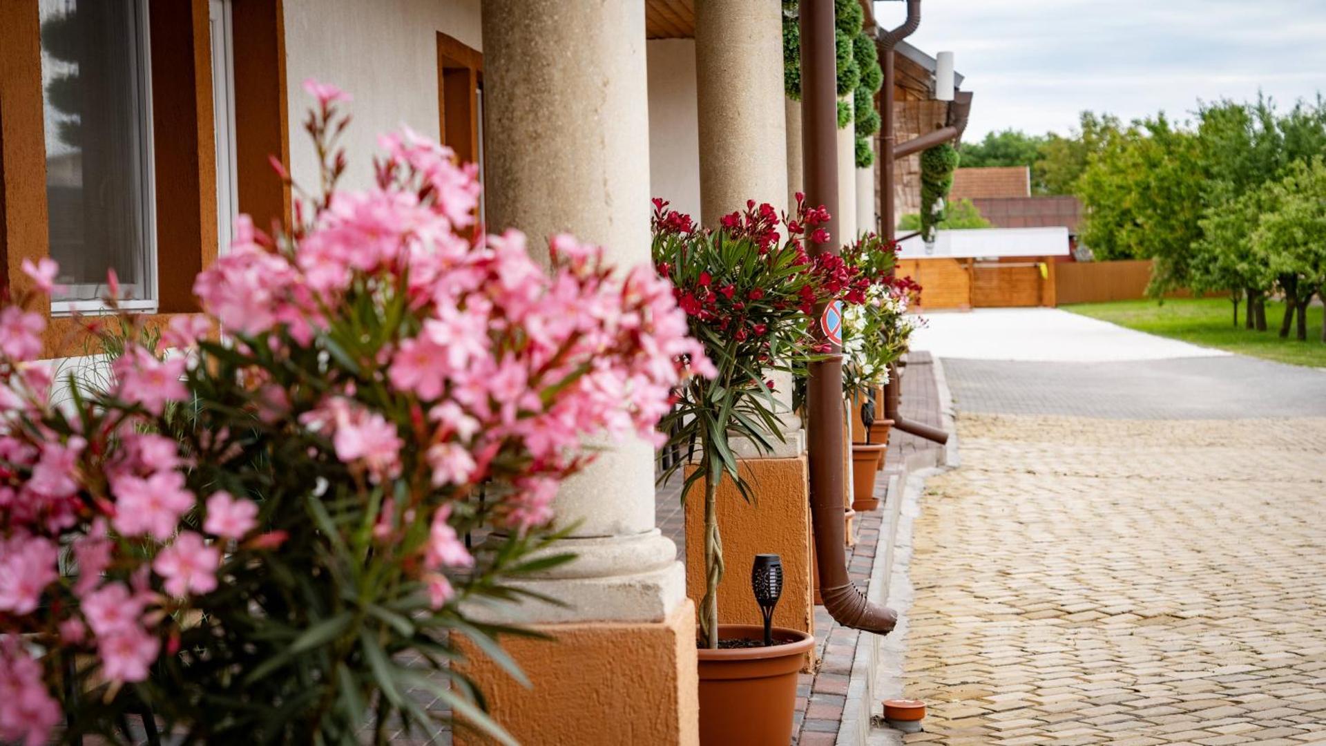 Airport Károly Centrál