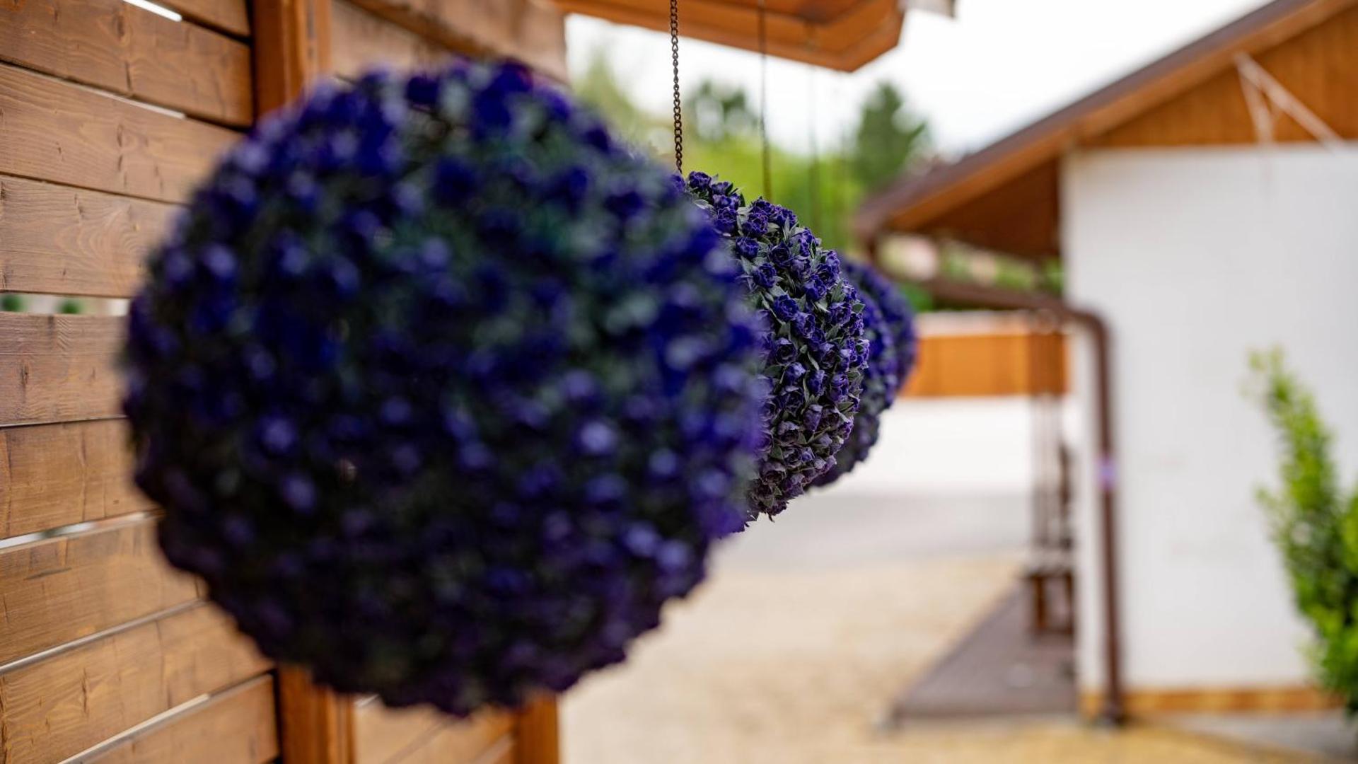 Airport Károly Centrál