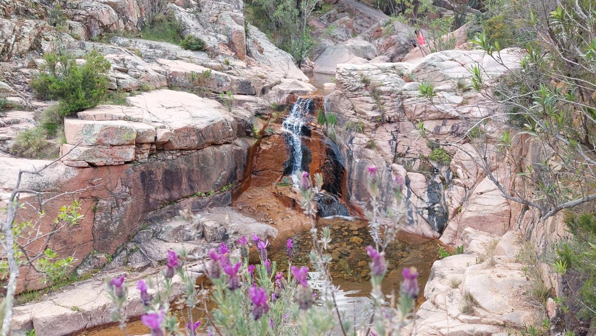 Sa Mesaluna Naturhouse