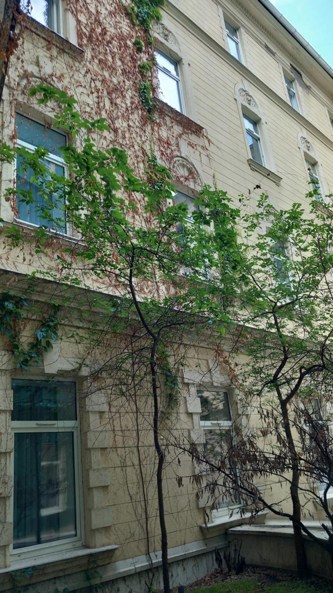 Inner courtyard view