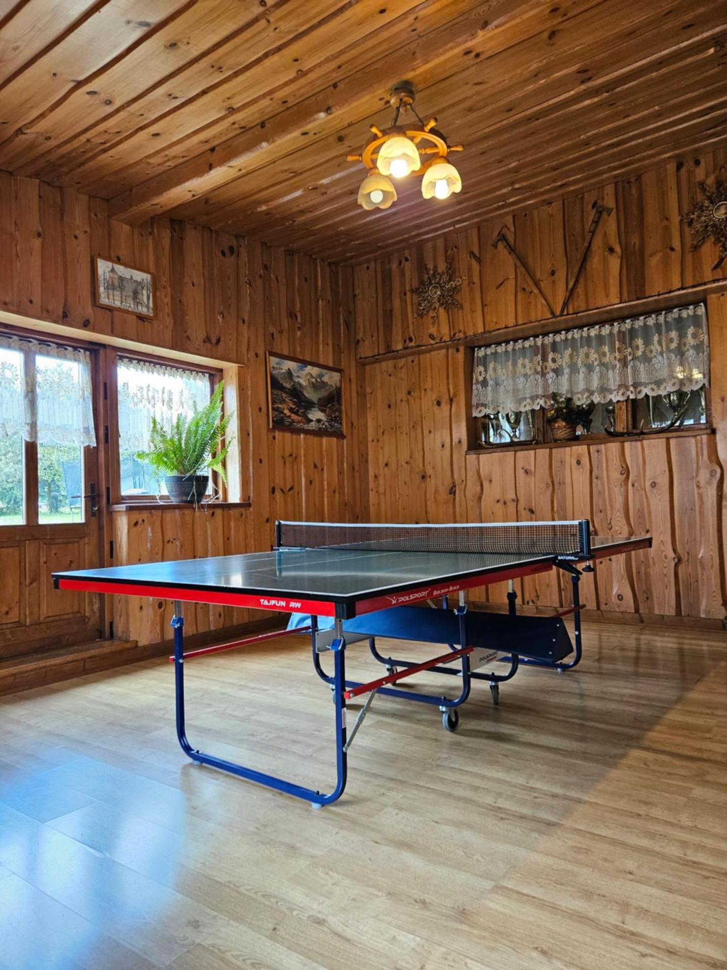 Table tennis