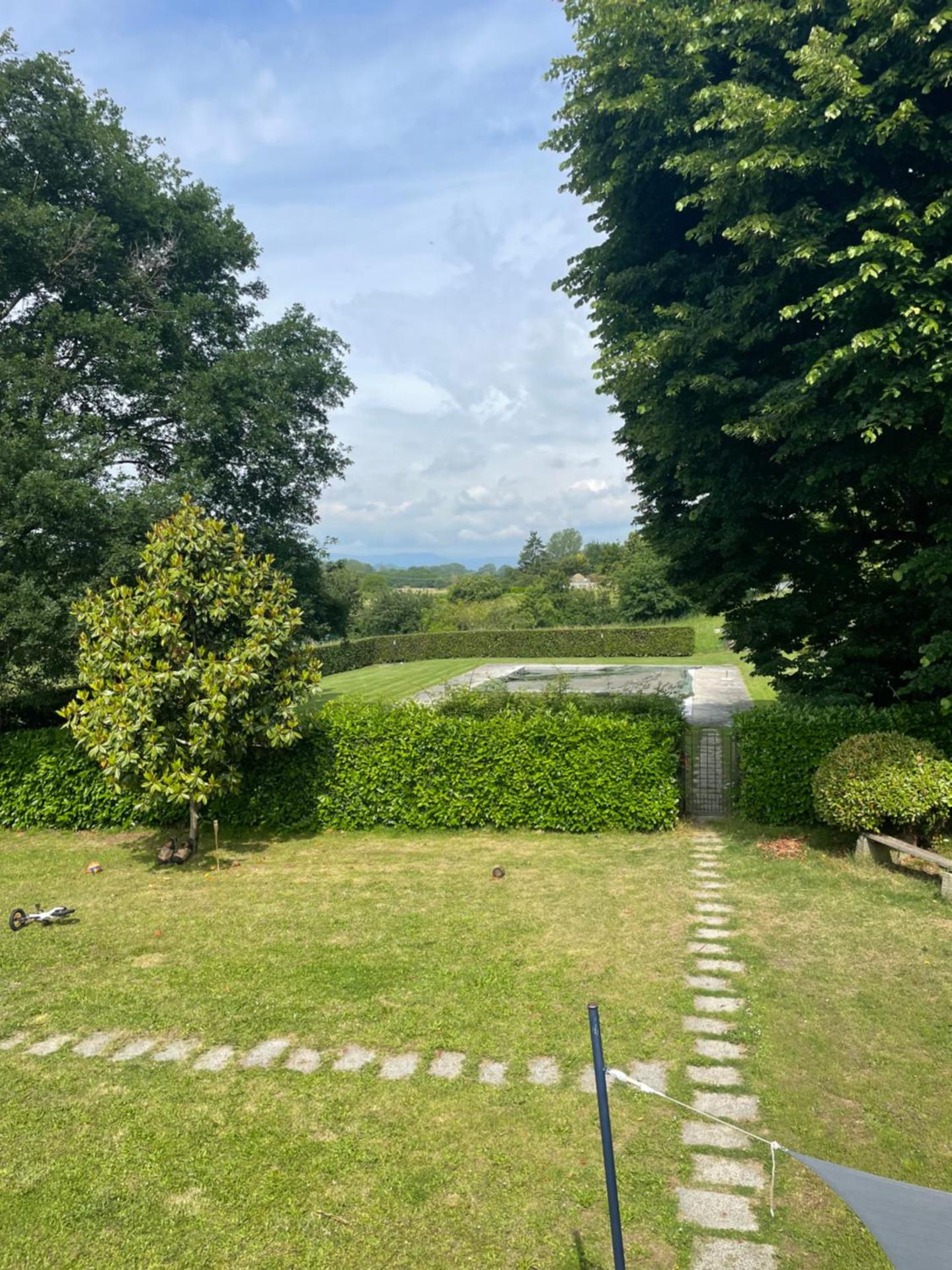 Under The Tuscan Trees