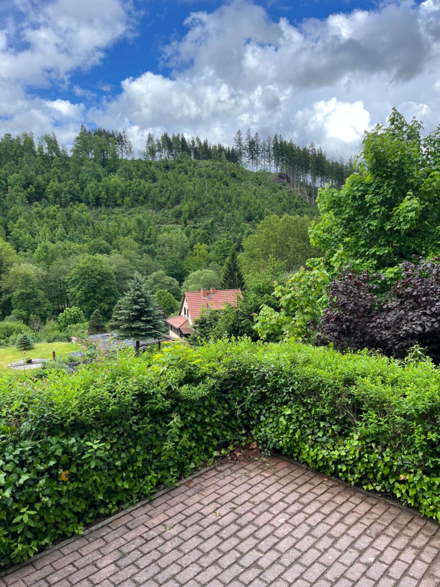 Ferienhaus Talblick, im Luftkurort Finsterbergen