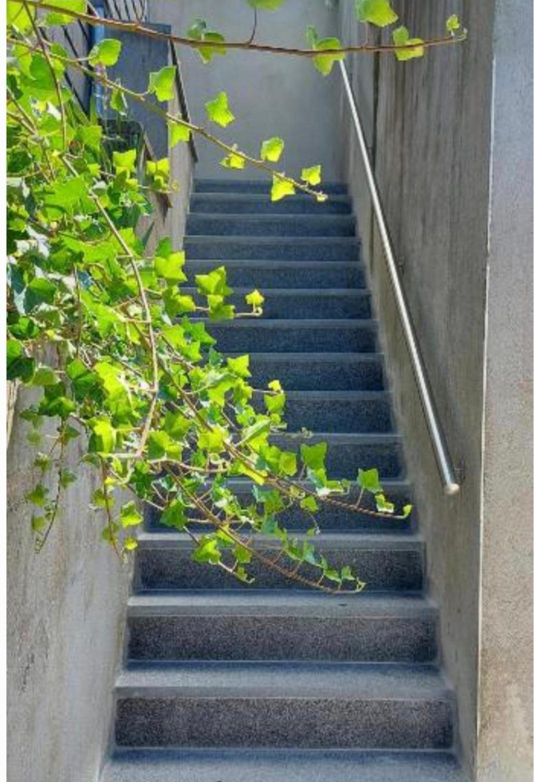 Nazareth logement Un Magnifique logement de vacances