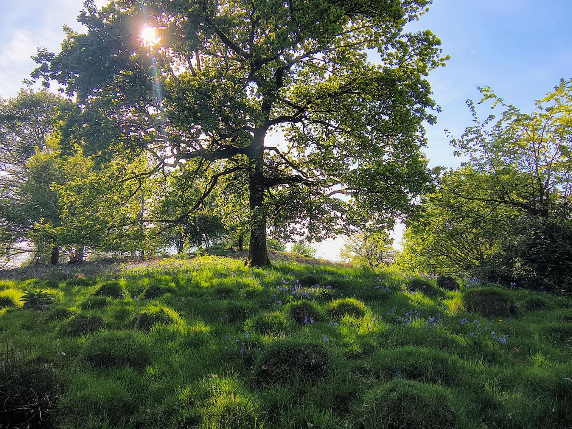 Tranquil getaway near Brecon Beacons