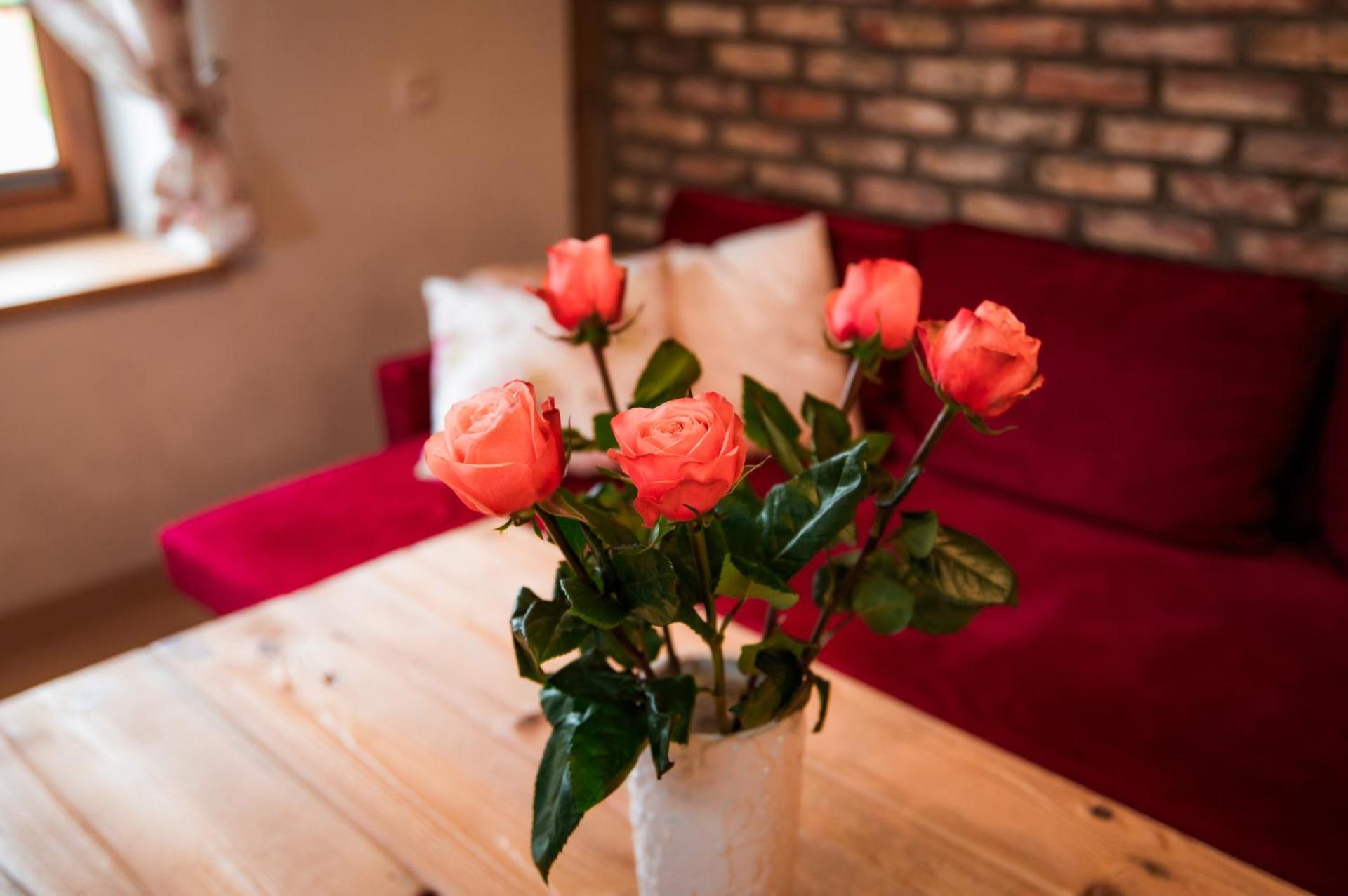 Domek całoroczny na Kaszubach Bliźniak