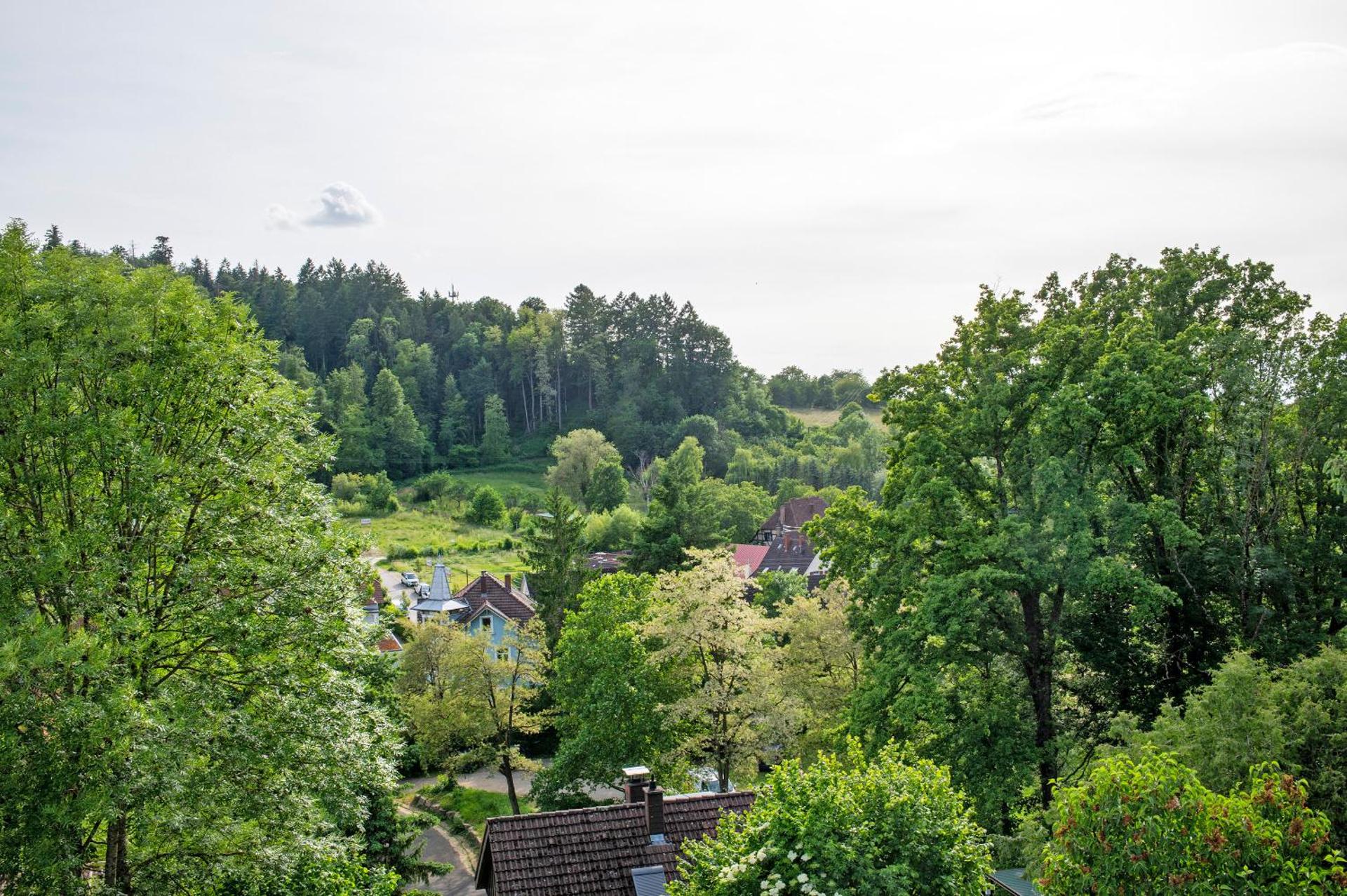 Ferienwohnung Haus Waldfee
