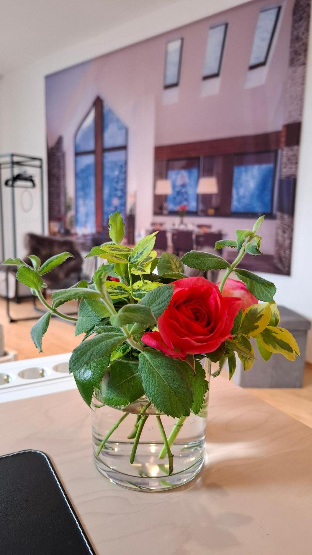 Apartment Chalet am Schloss Kaltenberg nahe Ammersee