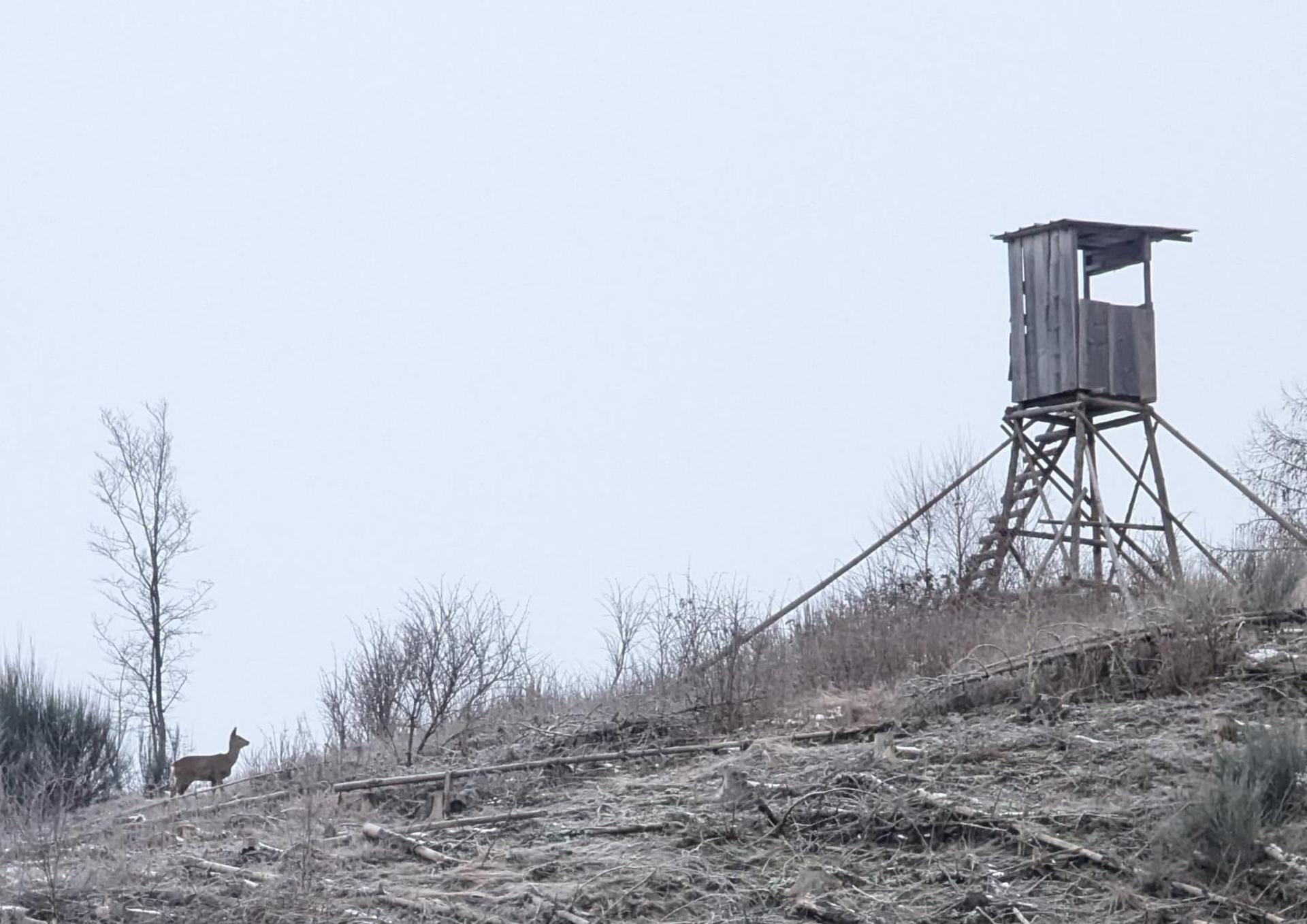 Ferienwohnung im Schwedenhaus