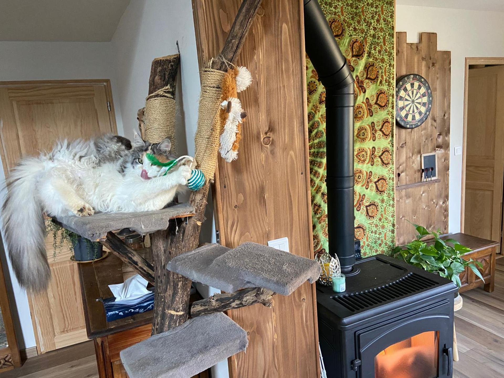 Chambre cosy en pleine nature, proche de Dijon