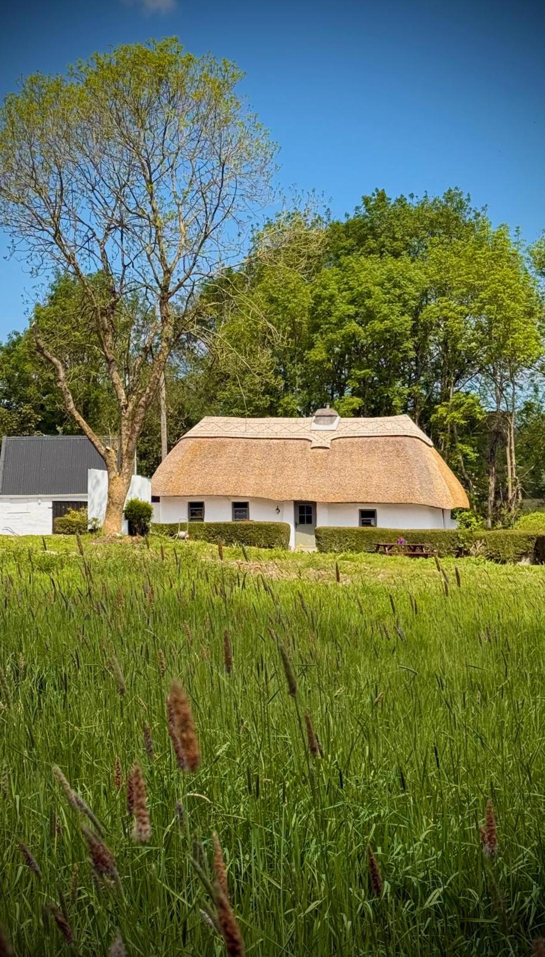 Murphys Thatched Cottage