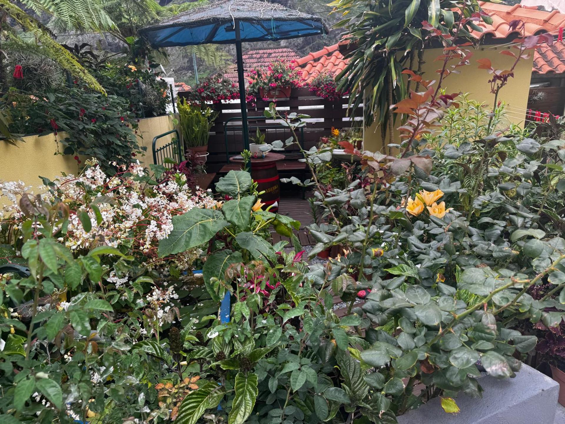 Terra Chã Cottage,FEEL Home,