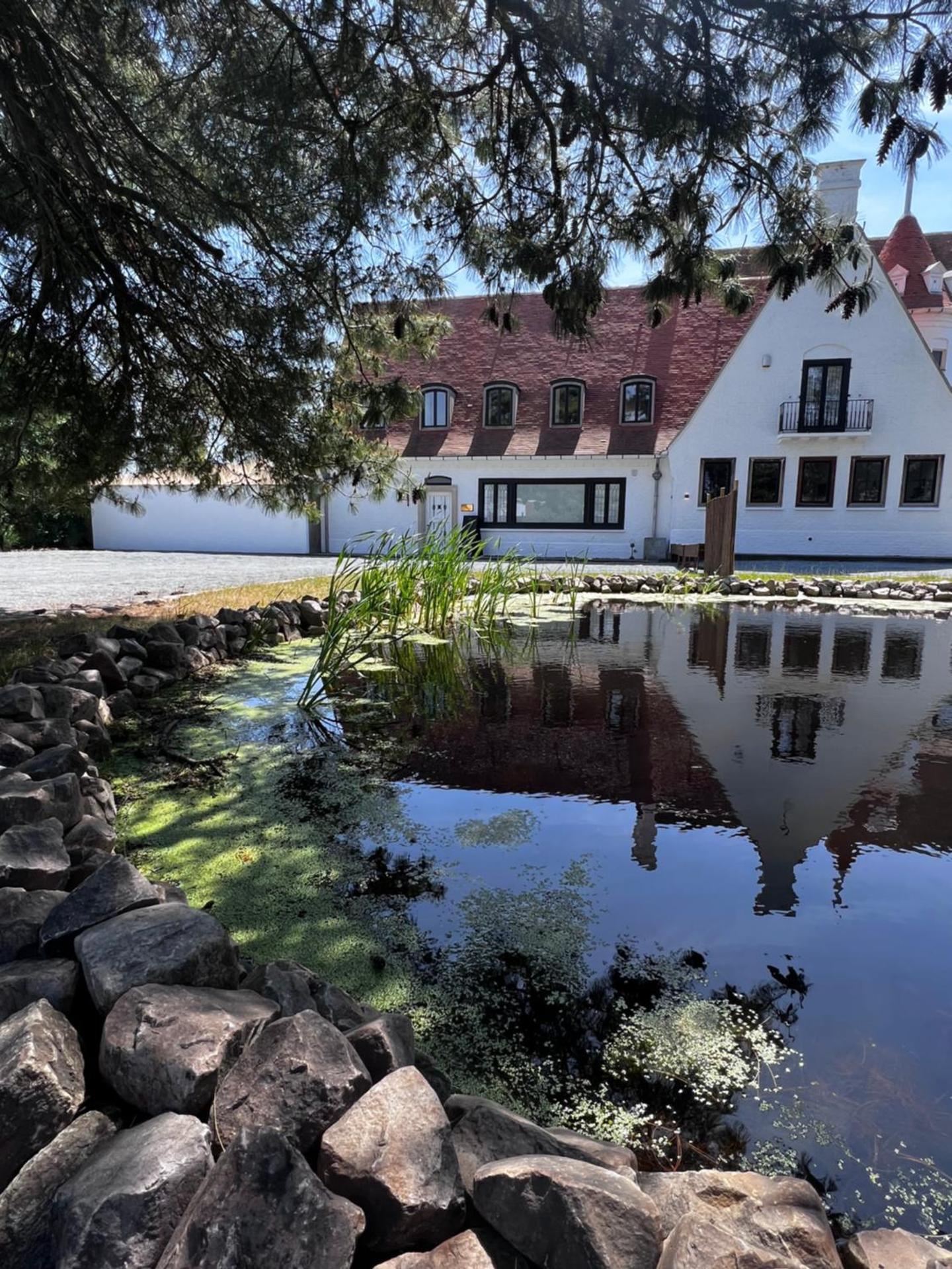 The Cotton Suites B&B