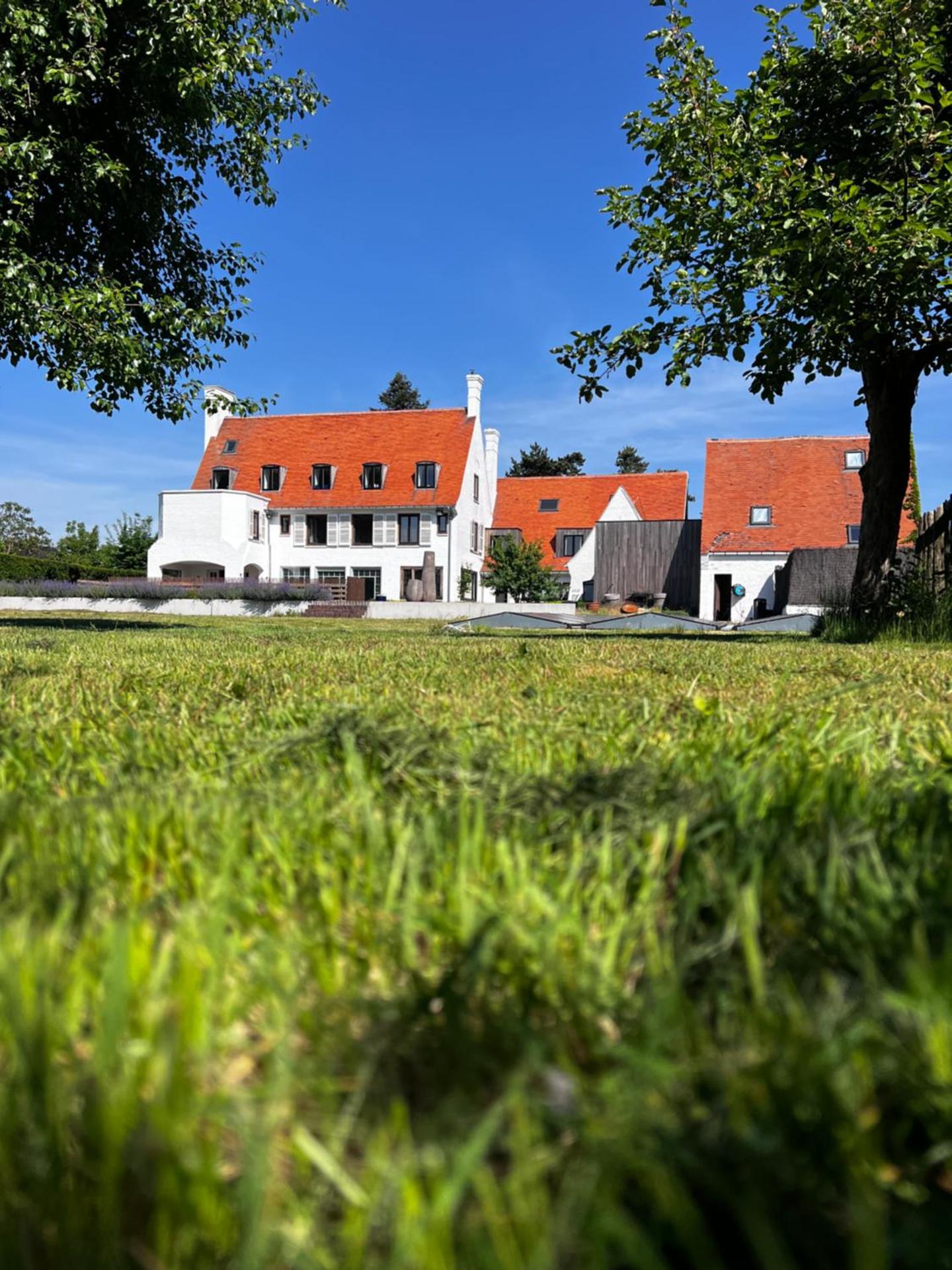 The Cotton Suites B&B