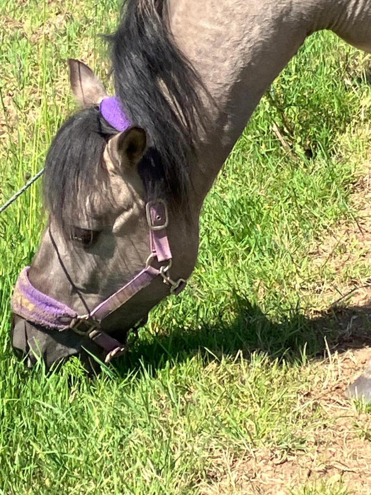 Ferienwohnung Aussicht, Monheimer Alb, Altmühltal