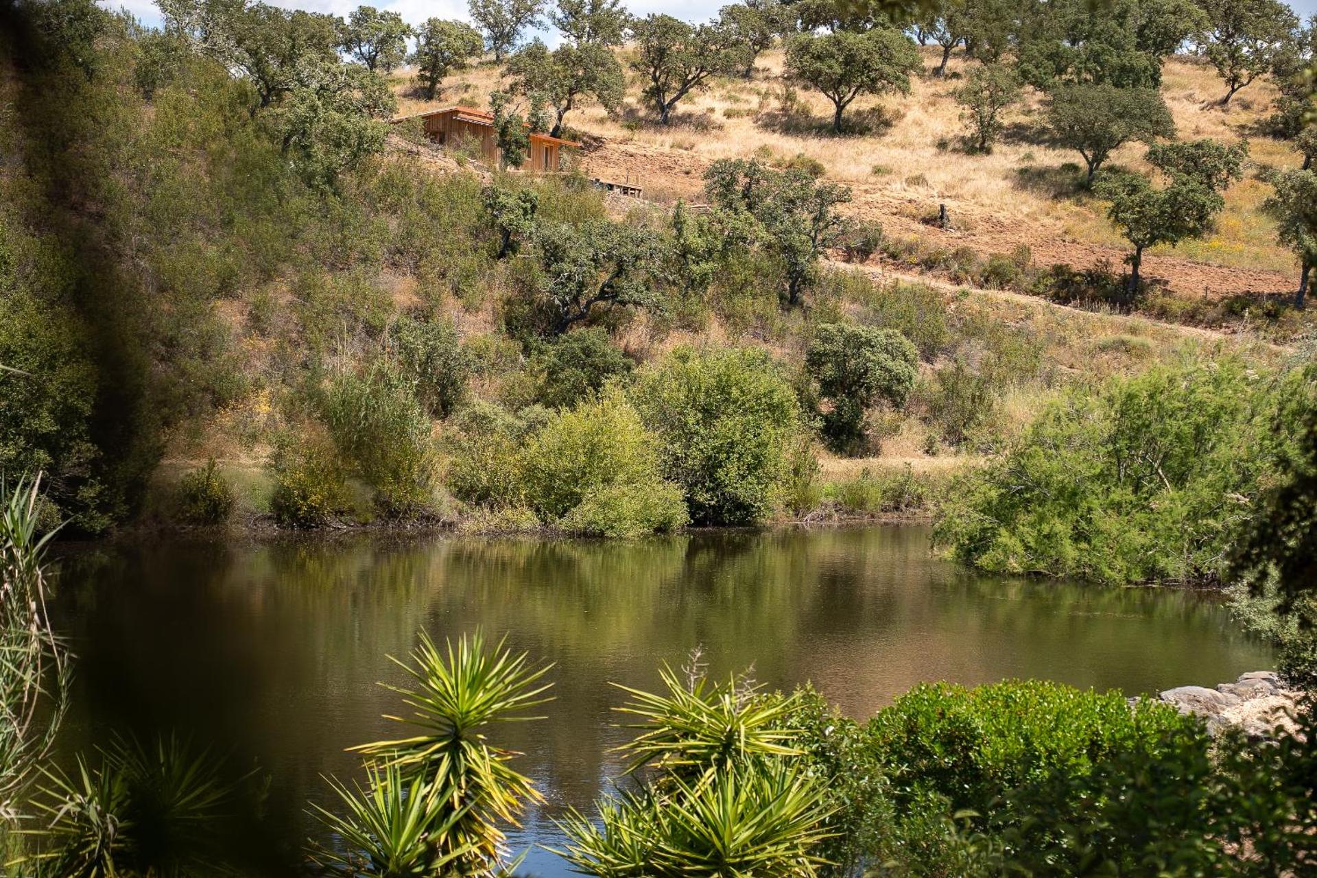 Corvatos Casas do Monte