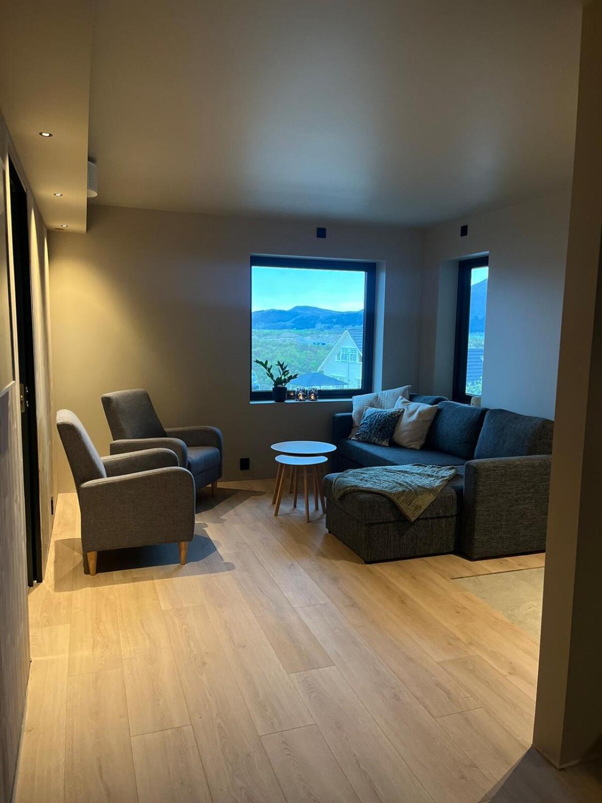 Nybygd og sentral leilighet