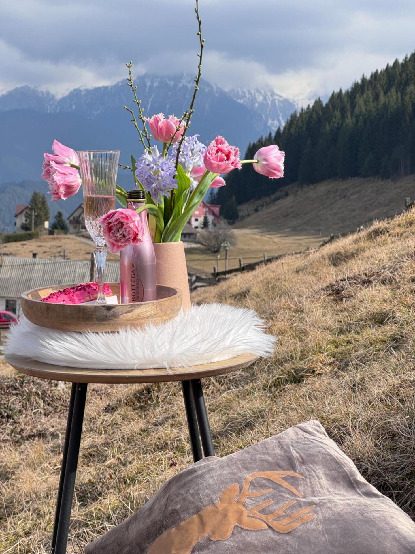 Casa de Sub Munte Fundata