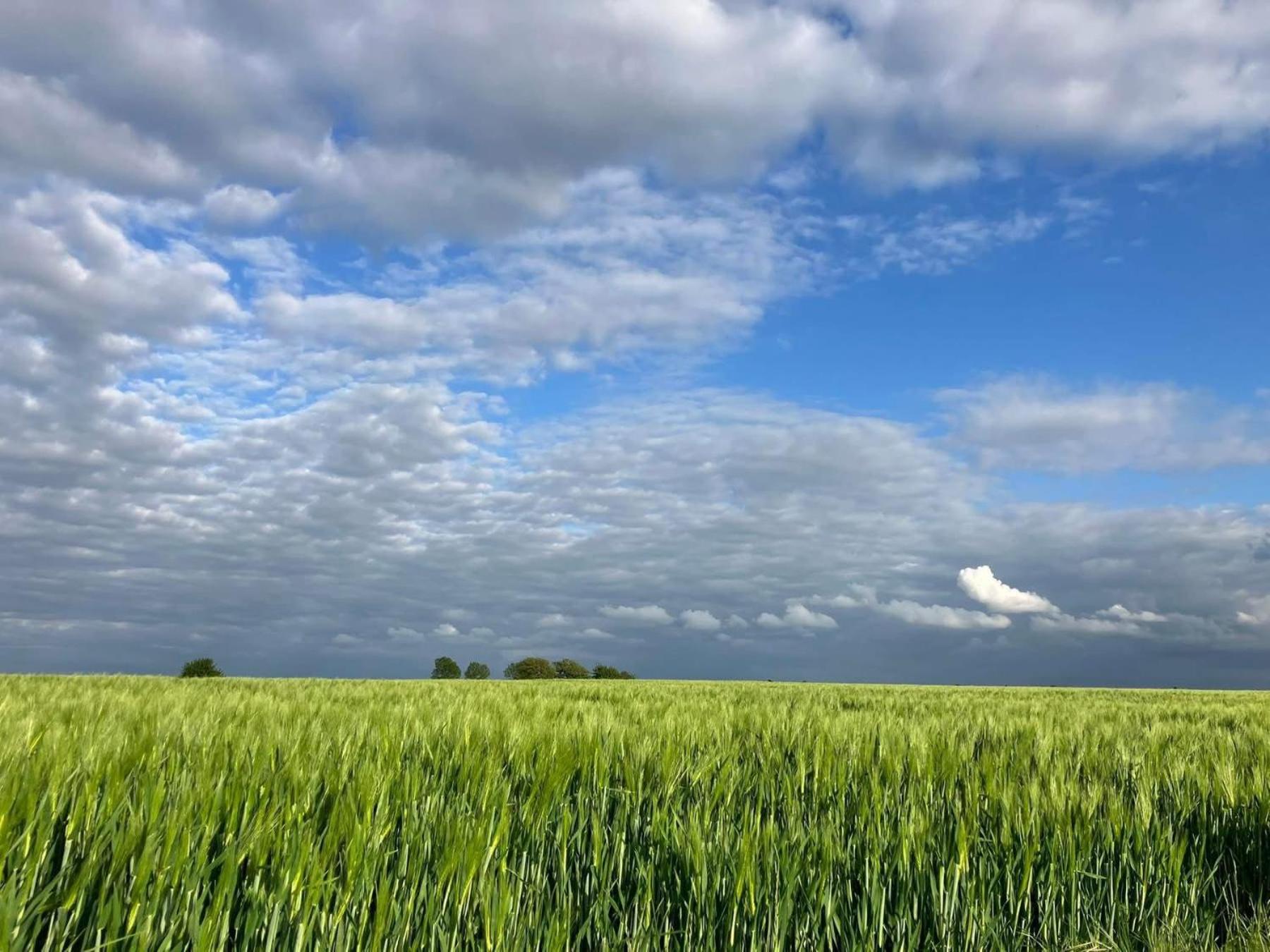 B&B Auberge 't Koffer