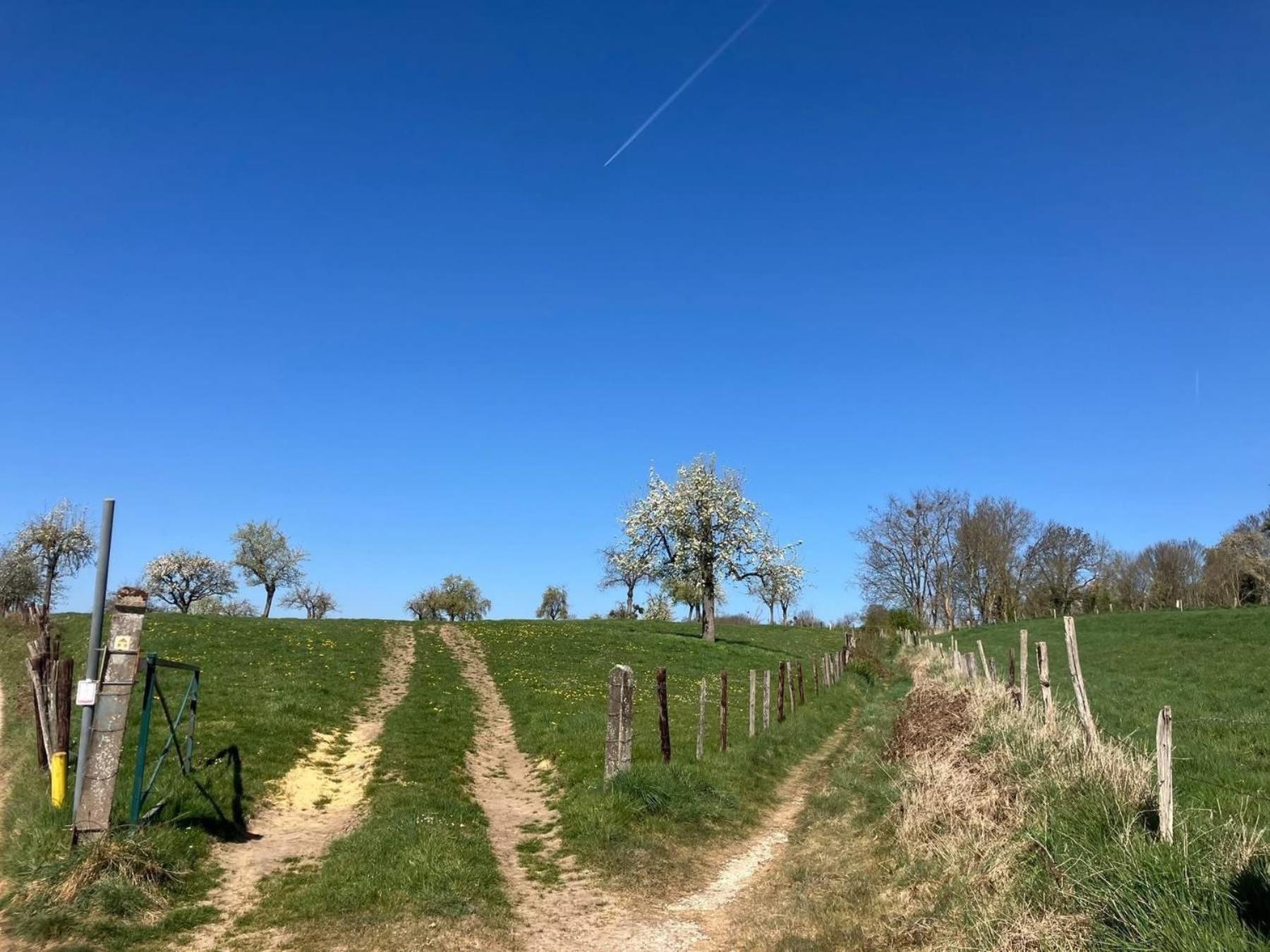 B&B Auberge 't Koffer