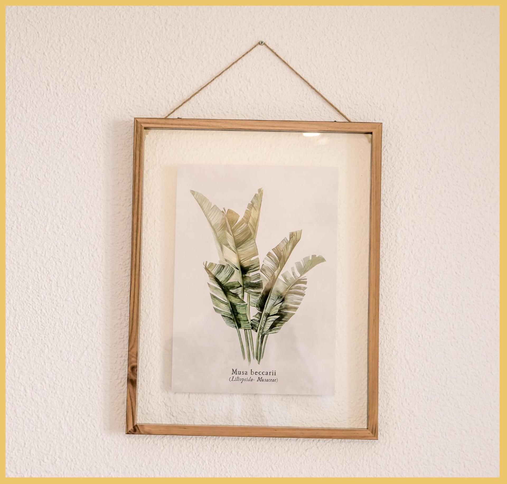 Le Cyclade I Studio I Saint-Julien