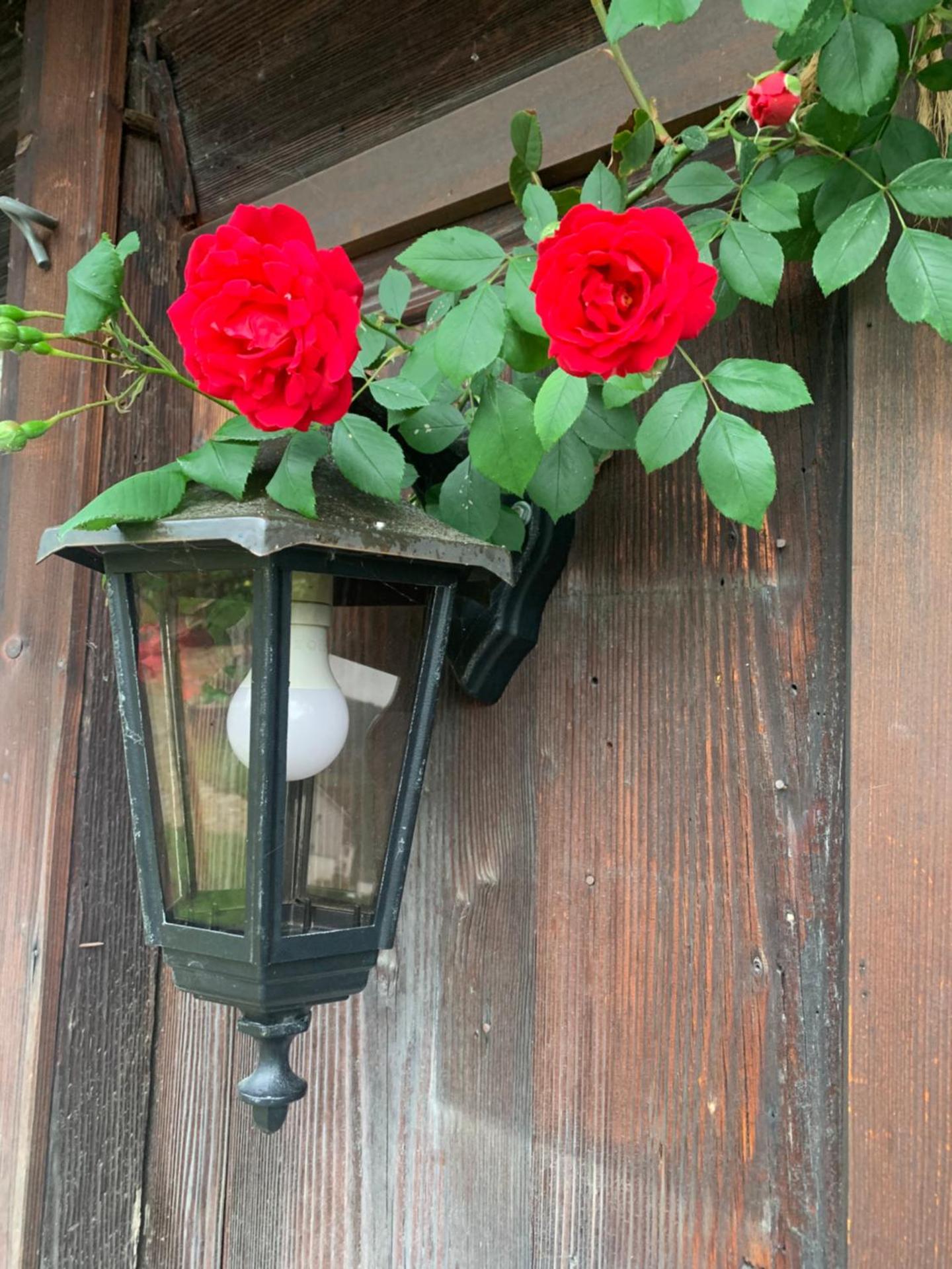 Gemütliches Chalet-Zimmer in Guesthouse Rosalie