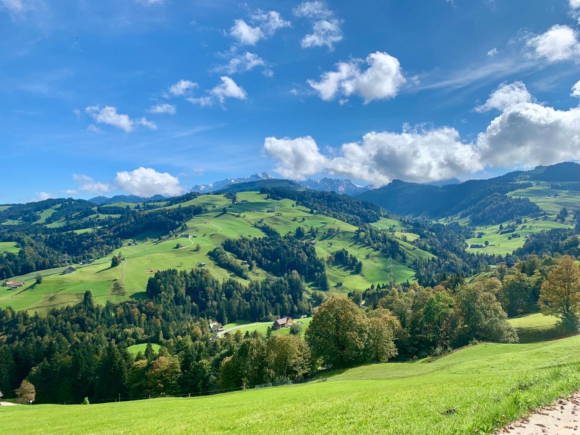 Historic Swiss Room in Guesthouse Rosalie