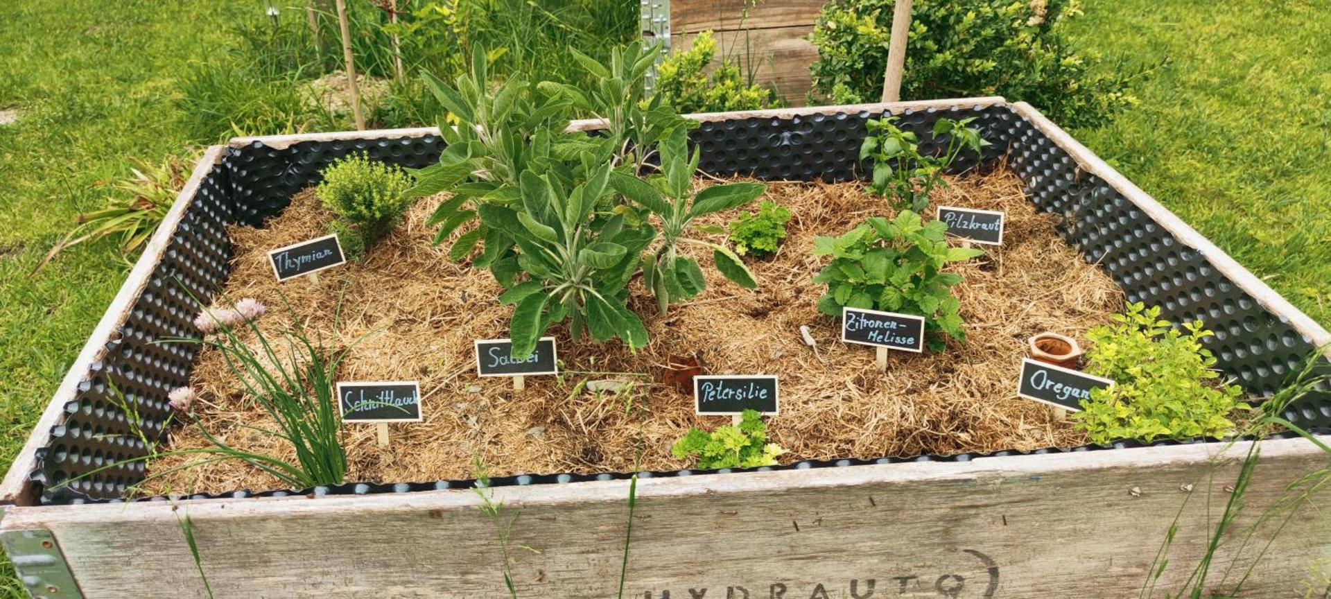 Sonnenhaus Leo Hutthurm