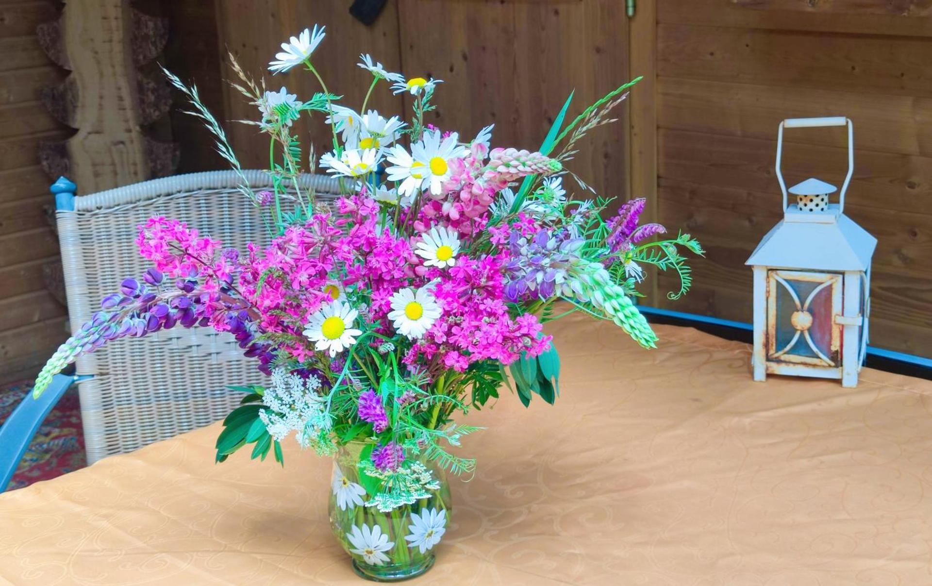 Sonnenhaus Leo Hutthurm