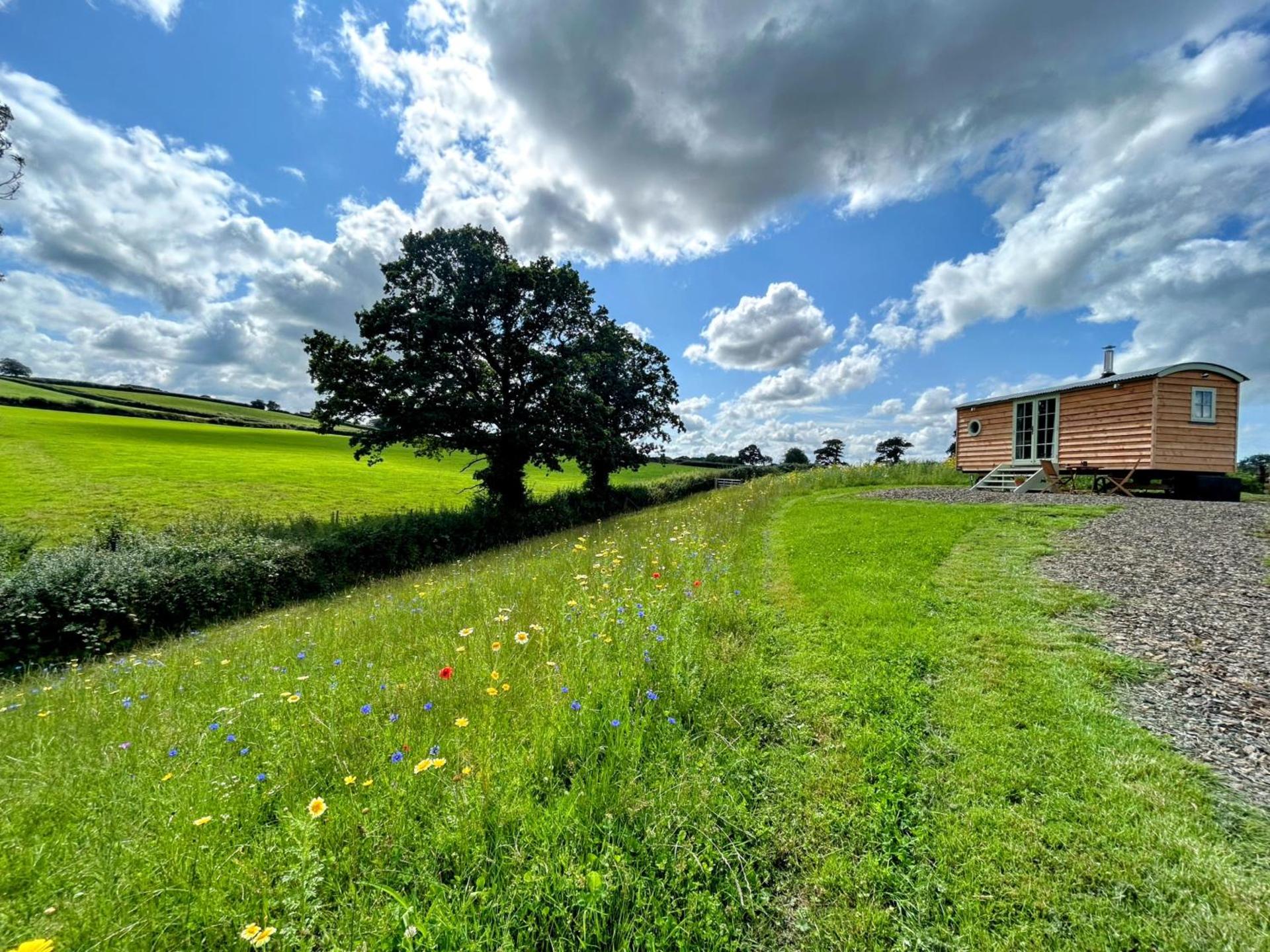 Cosy Devon Hut with Private Hot Tub