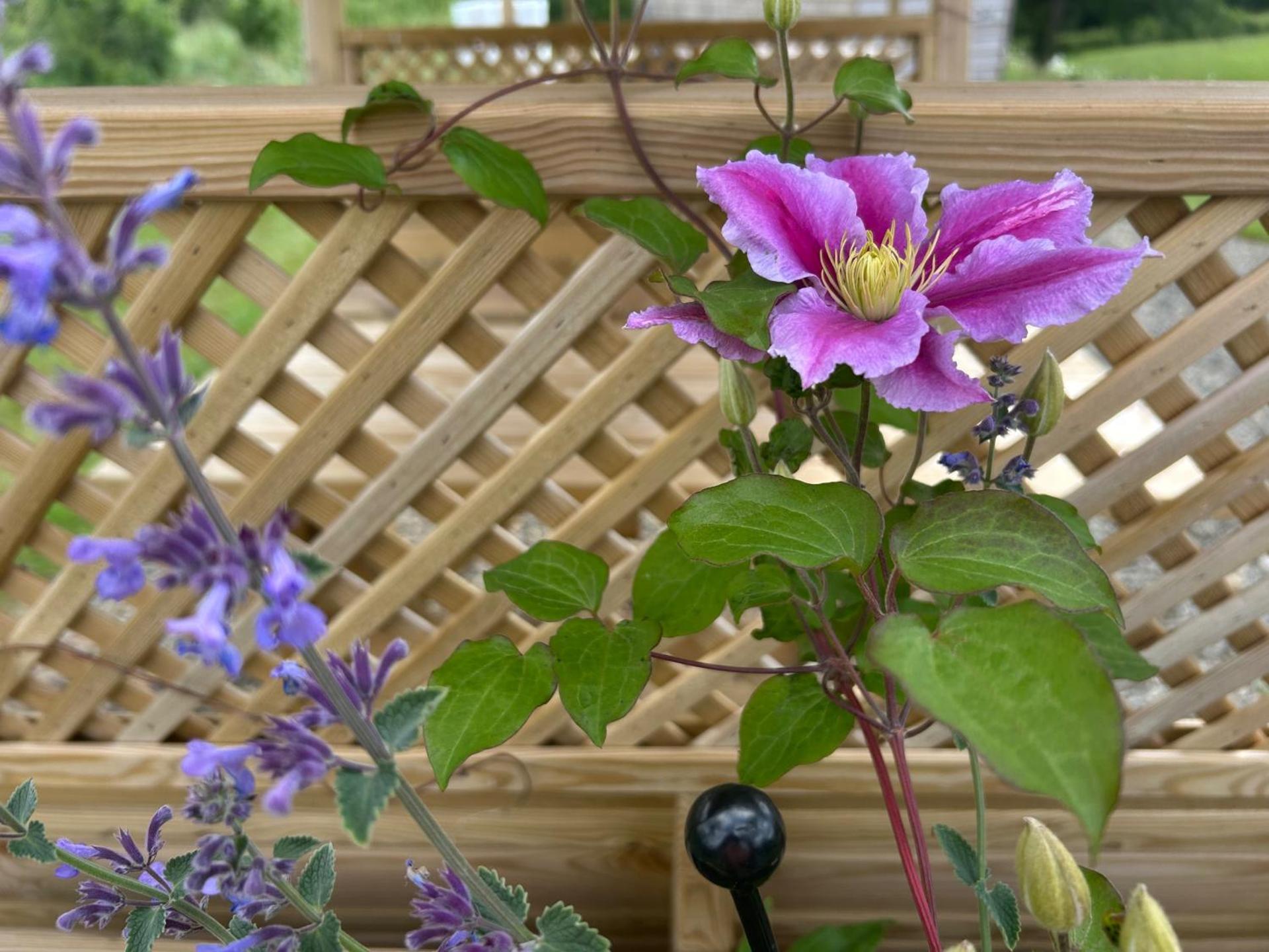 Cosy Devon Hut with Private Hot Tub