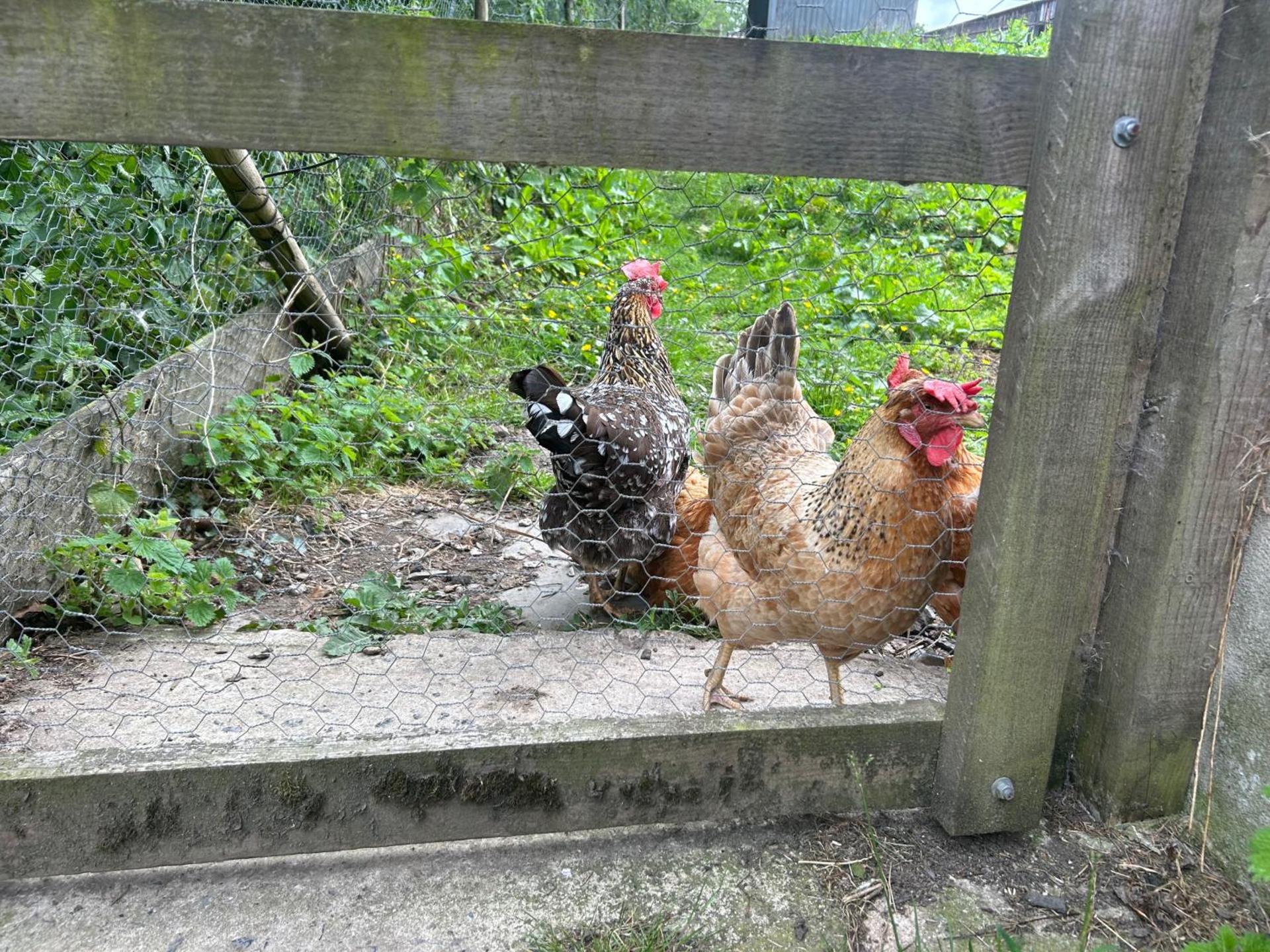 Cosy Devon Hut with Private Hot Tub